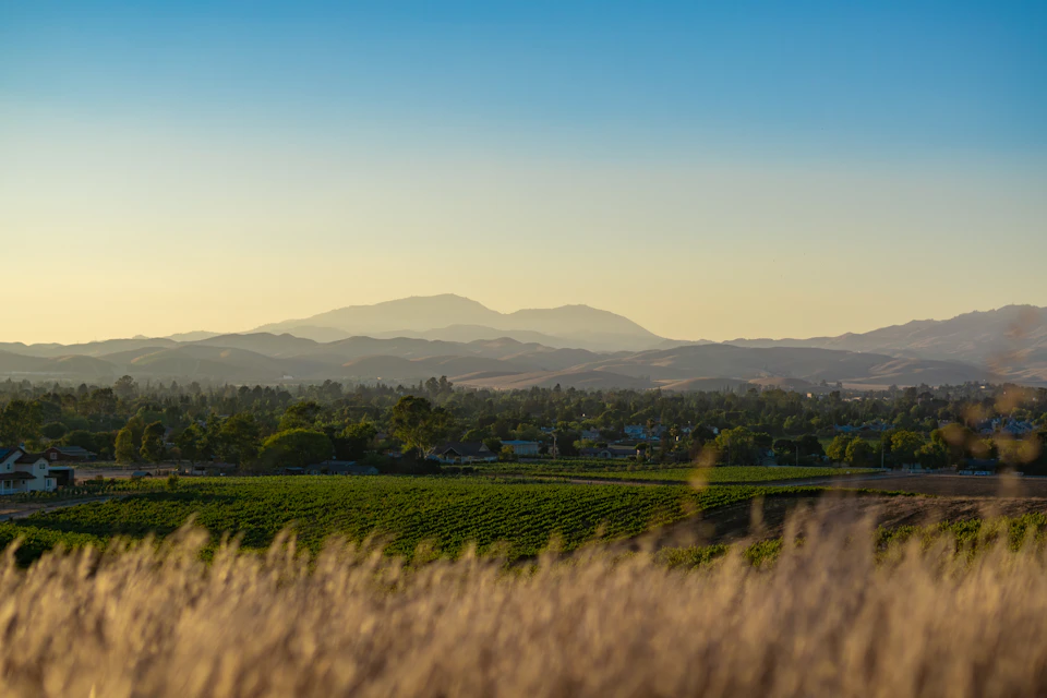 Serene rural landscape with vast open field, rolling hills, and clear blue sky above