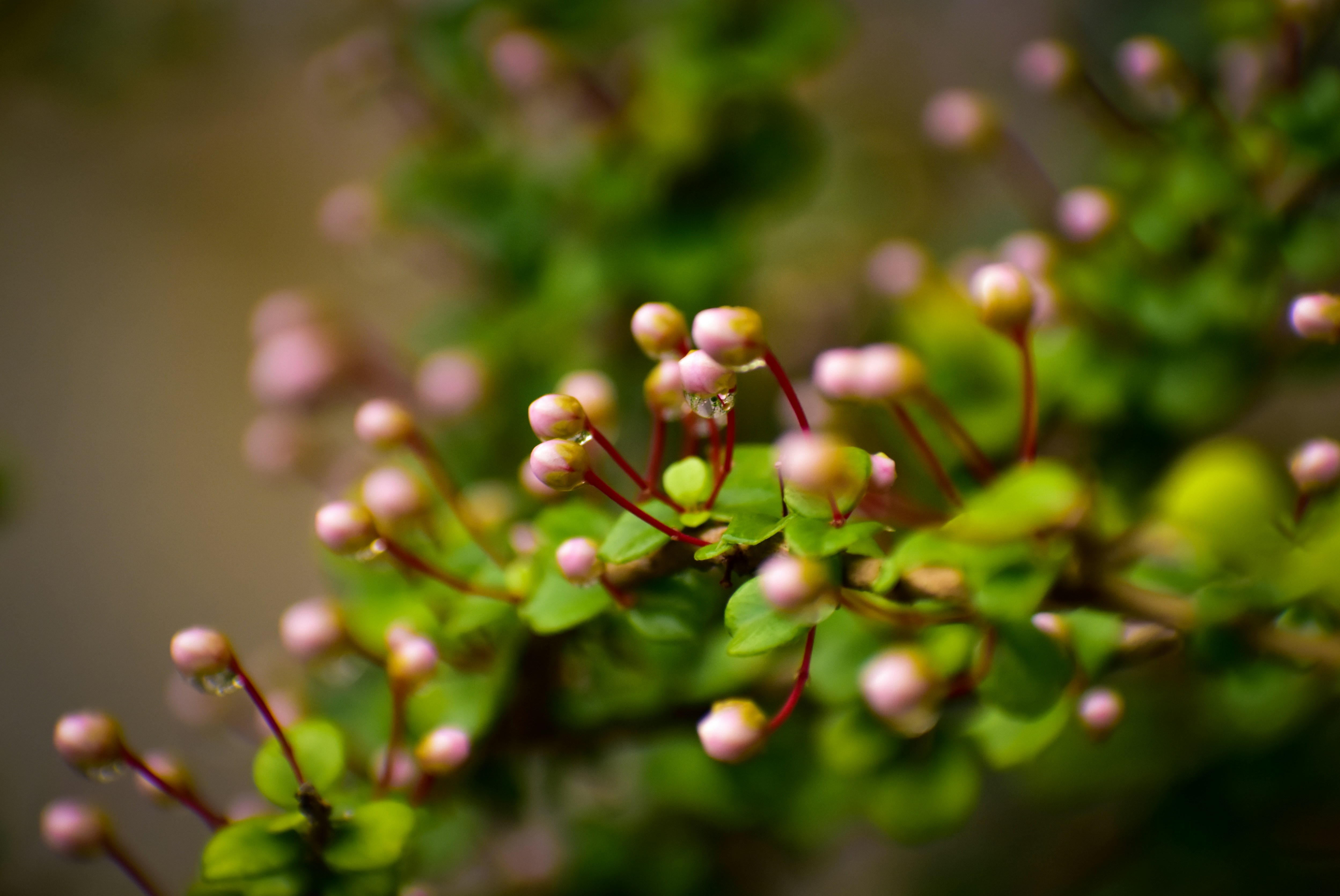 Photo by shreyastiwari