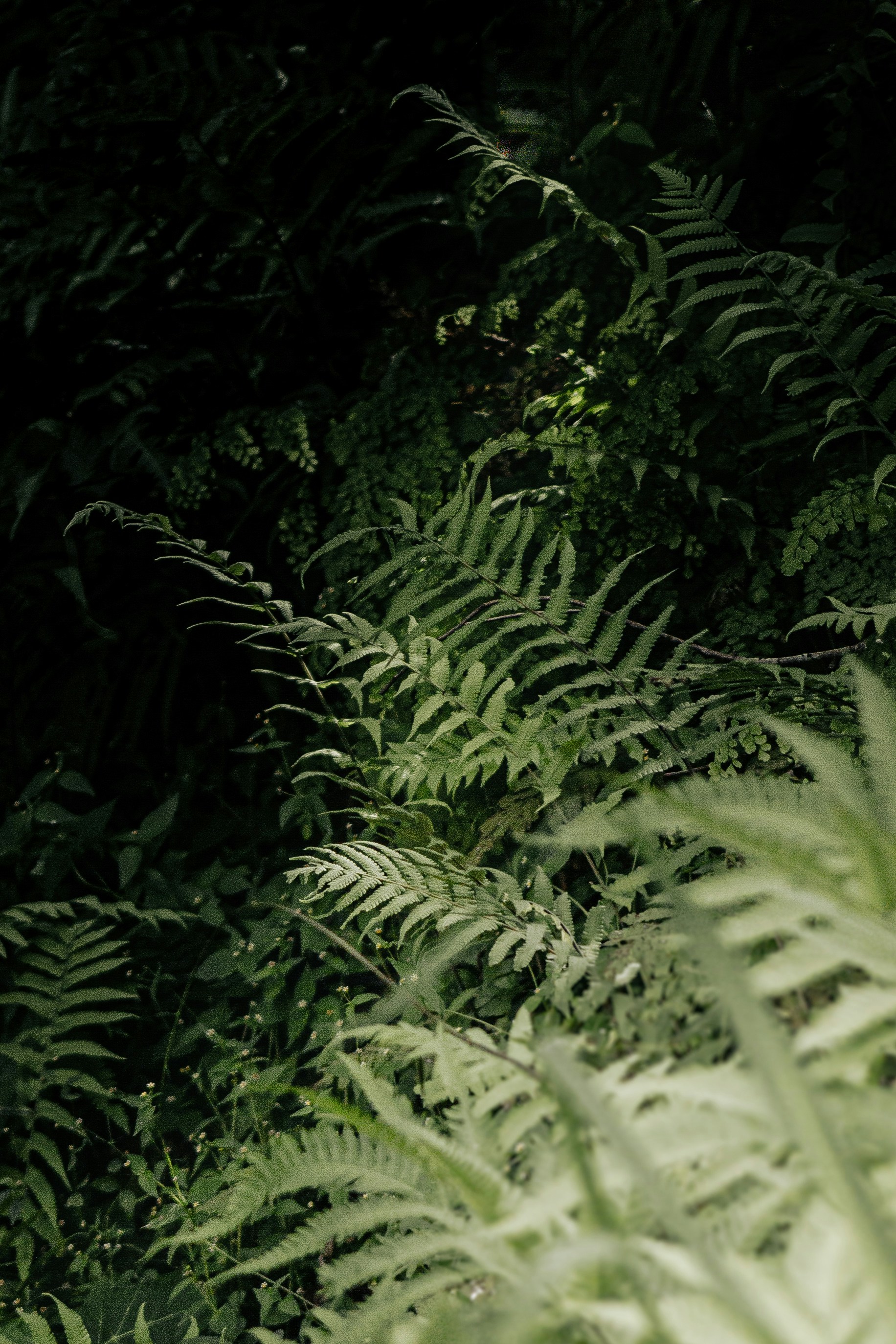 Photo by xiaowuuuuuuu