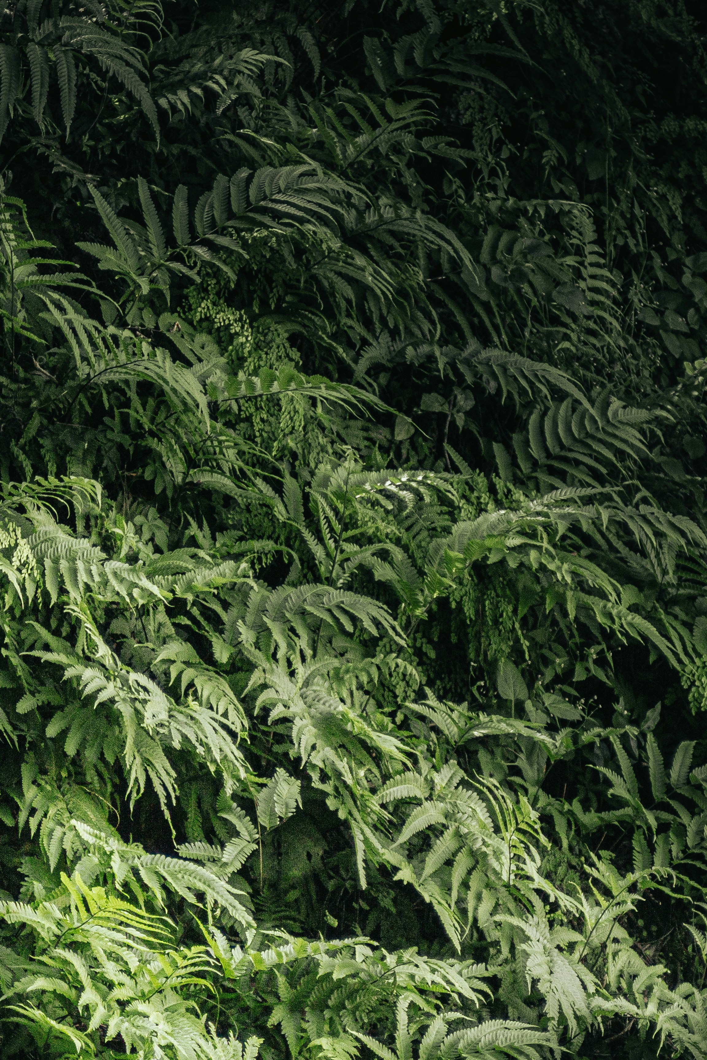 Photo by xiaowuuuuuuu