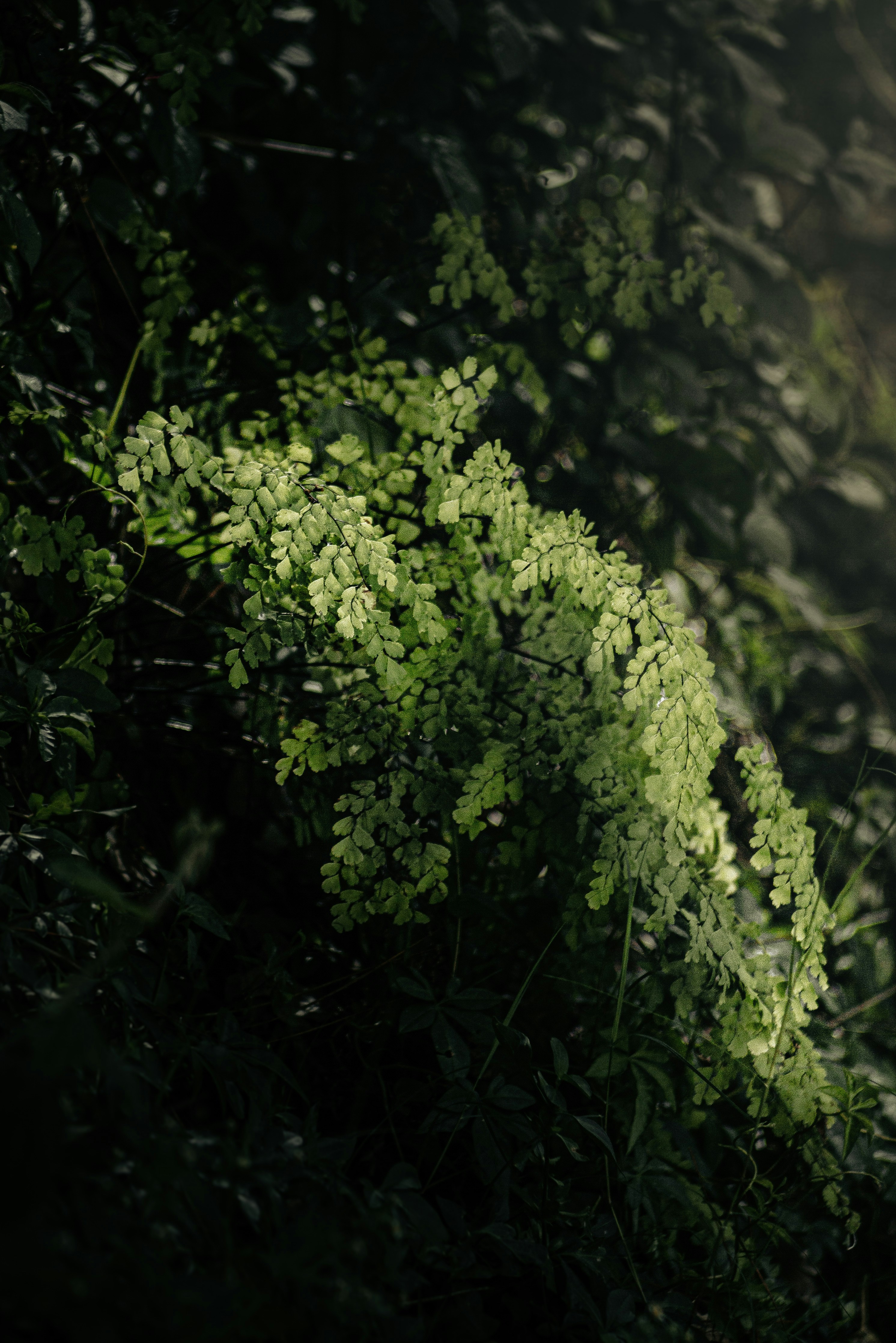 Photo by xiaowuuuuuuu