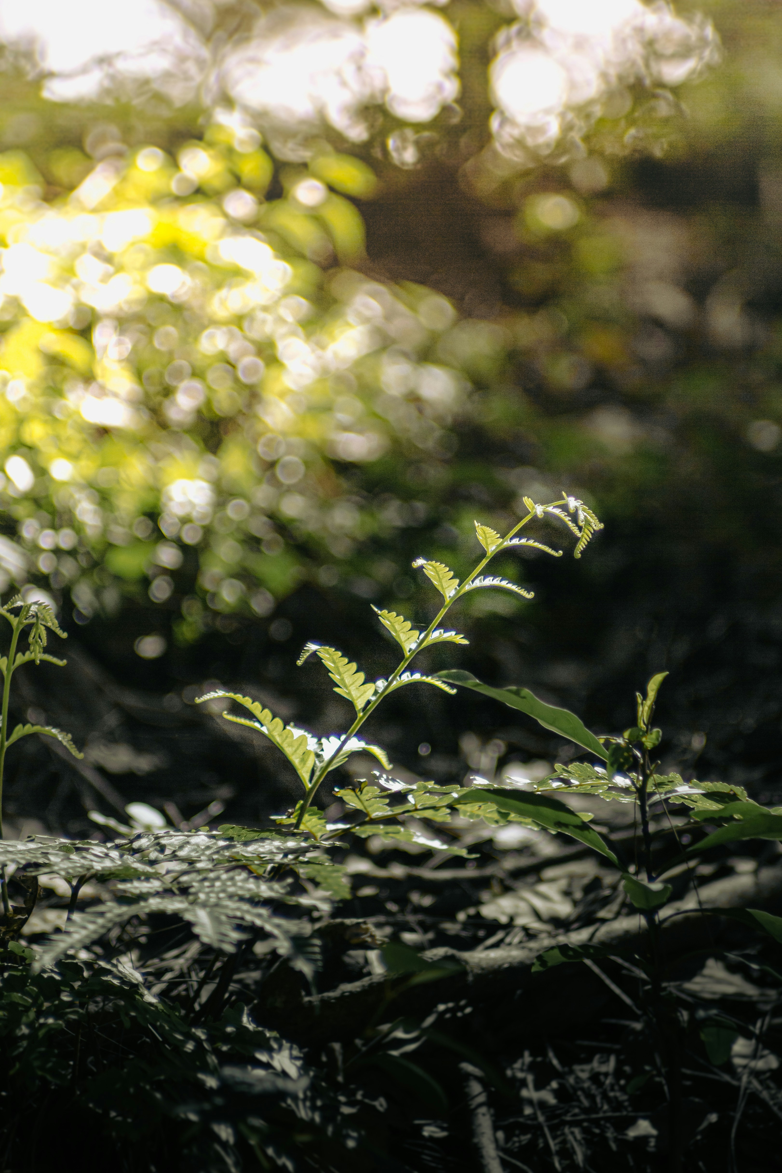 Photo by xiaowuuuuuuu