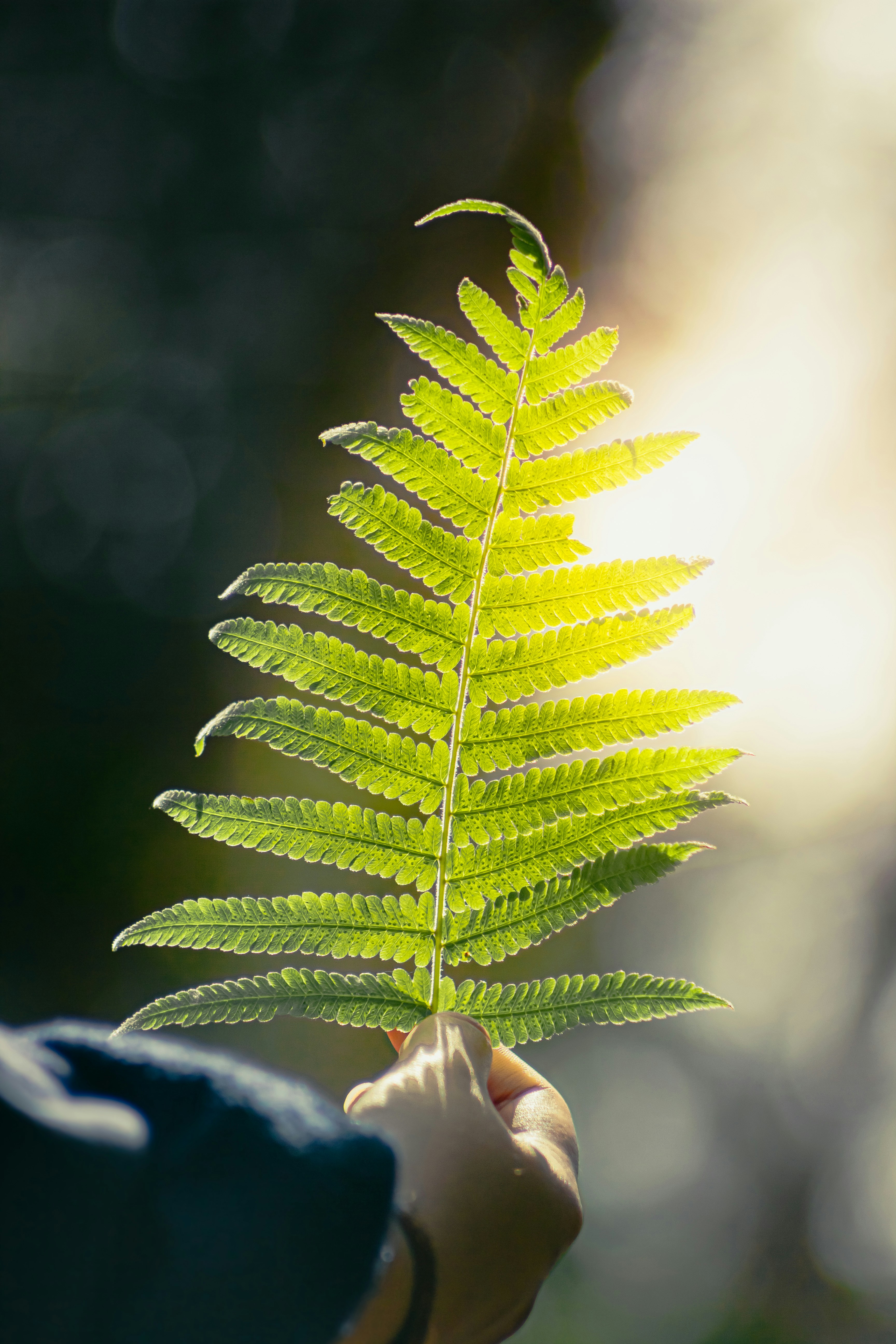 Photo by xiaowuuuuuuu