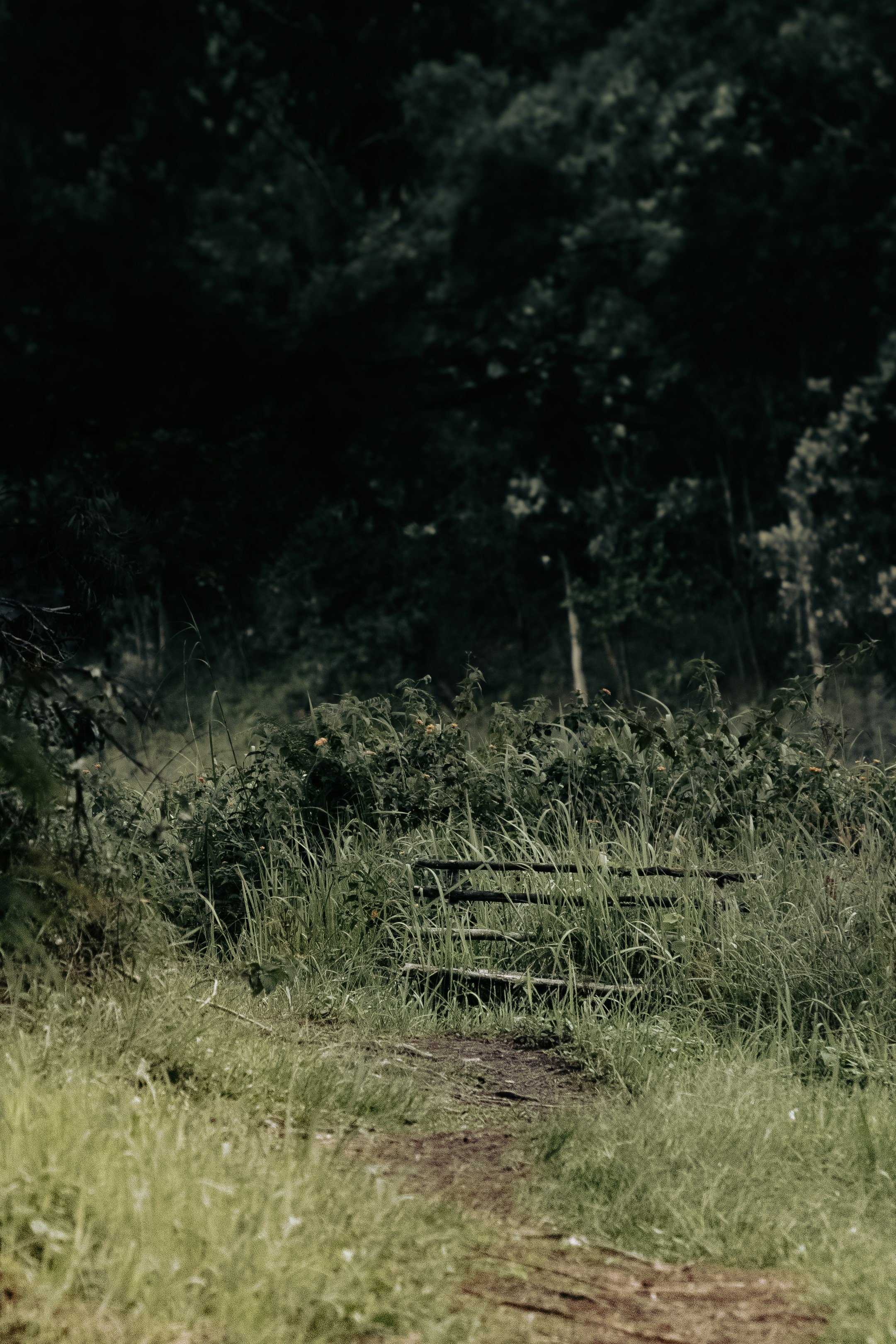 Photo by xiaowuuuuuuu