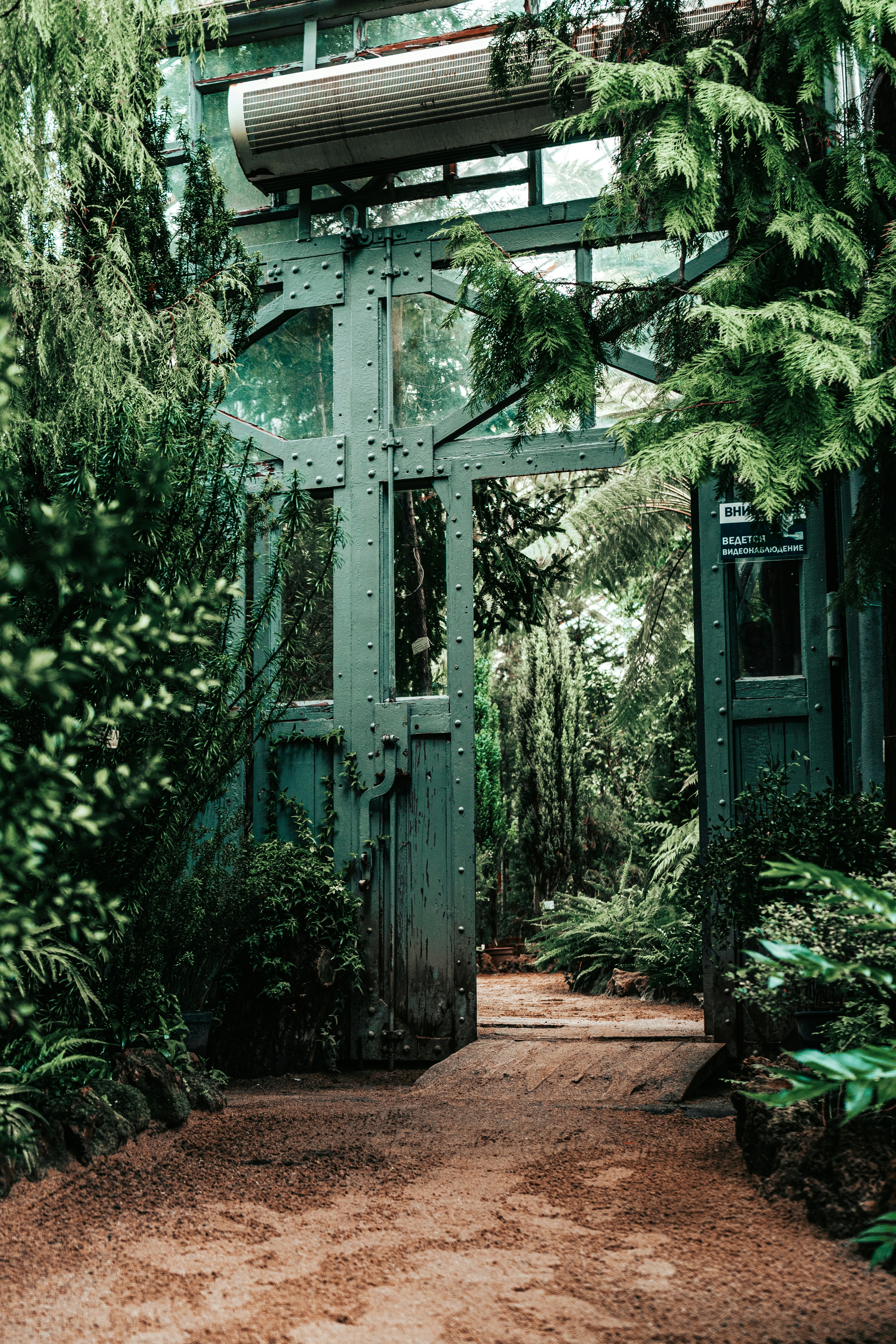 st. petersburg startups