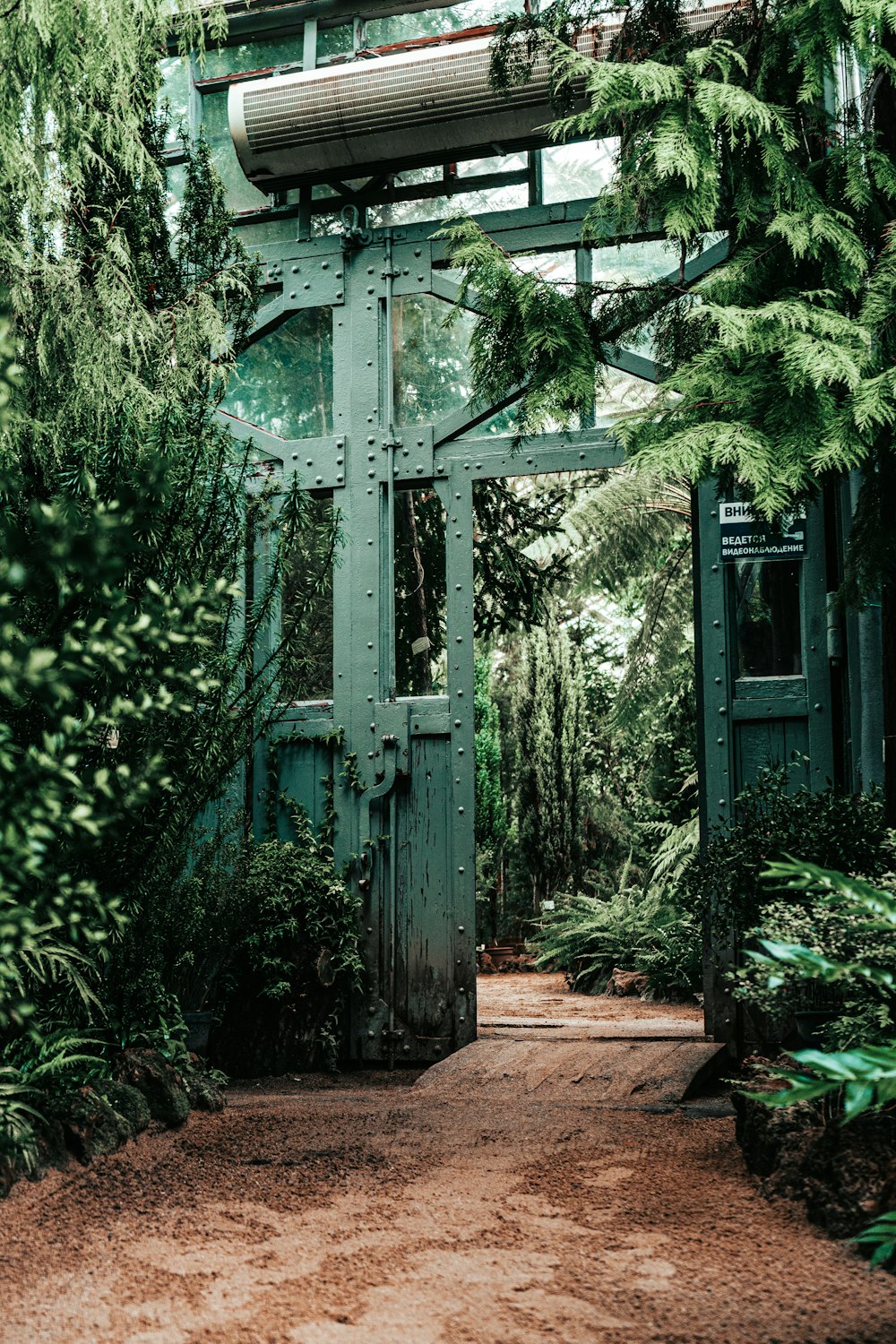 green wooden cross on green plants