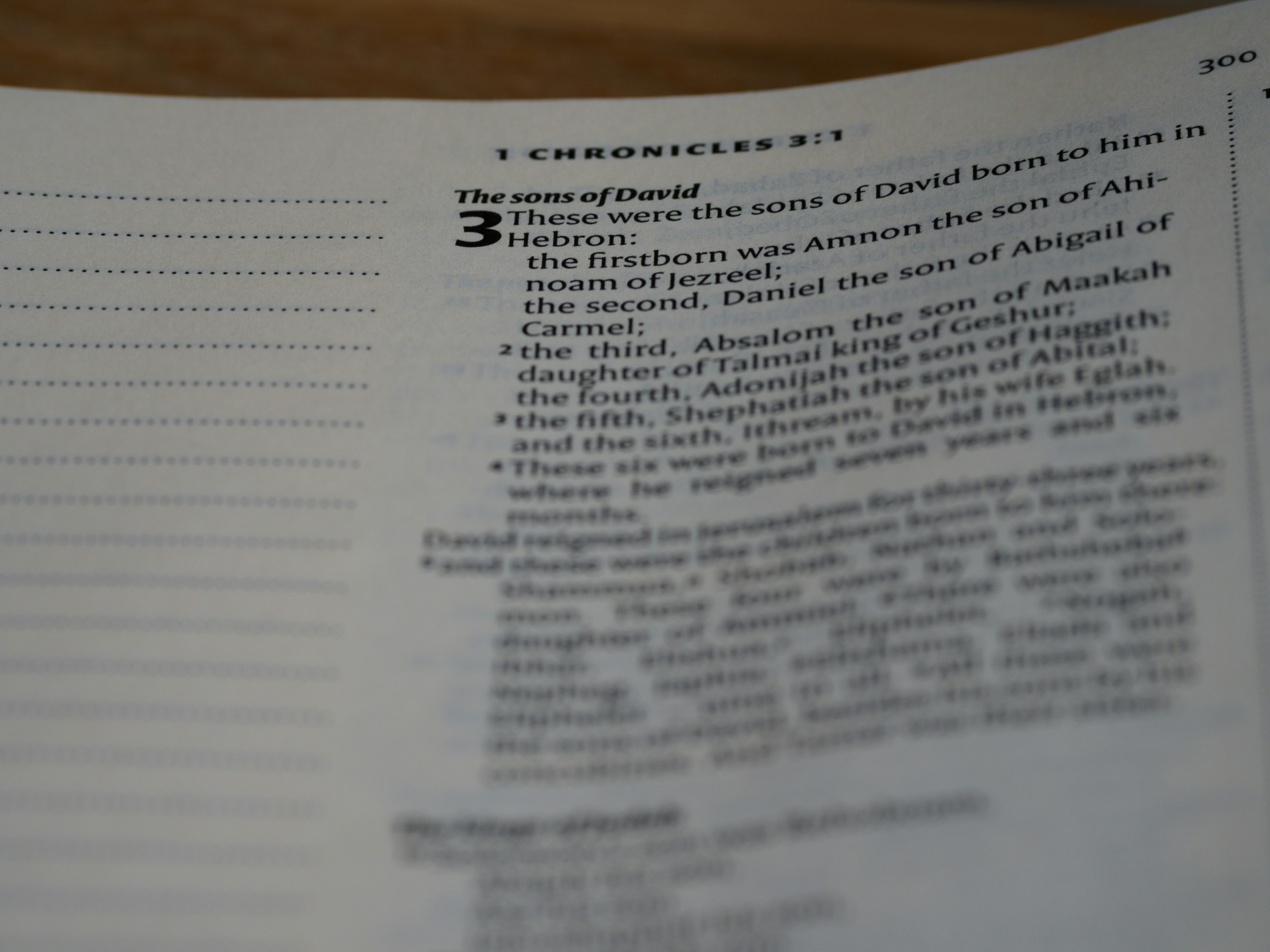 Photo by brett_jordan