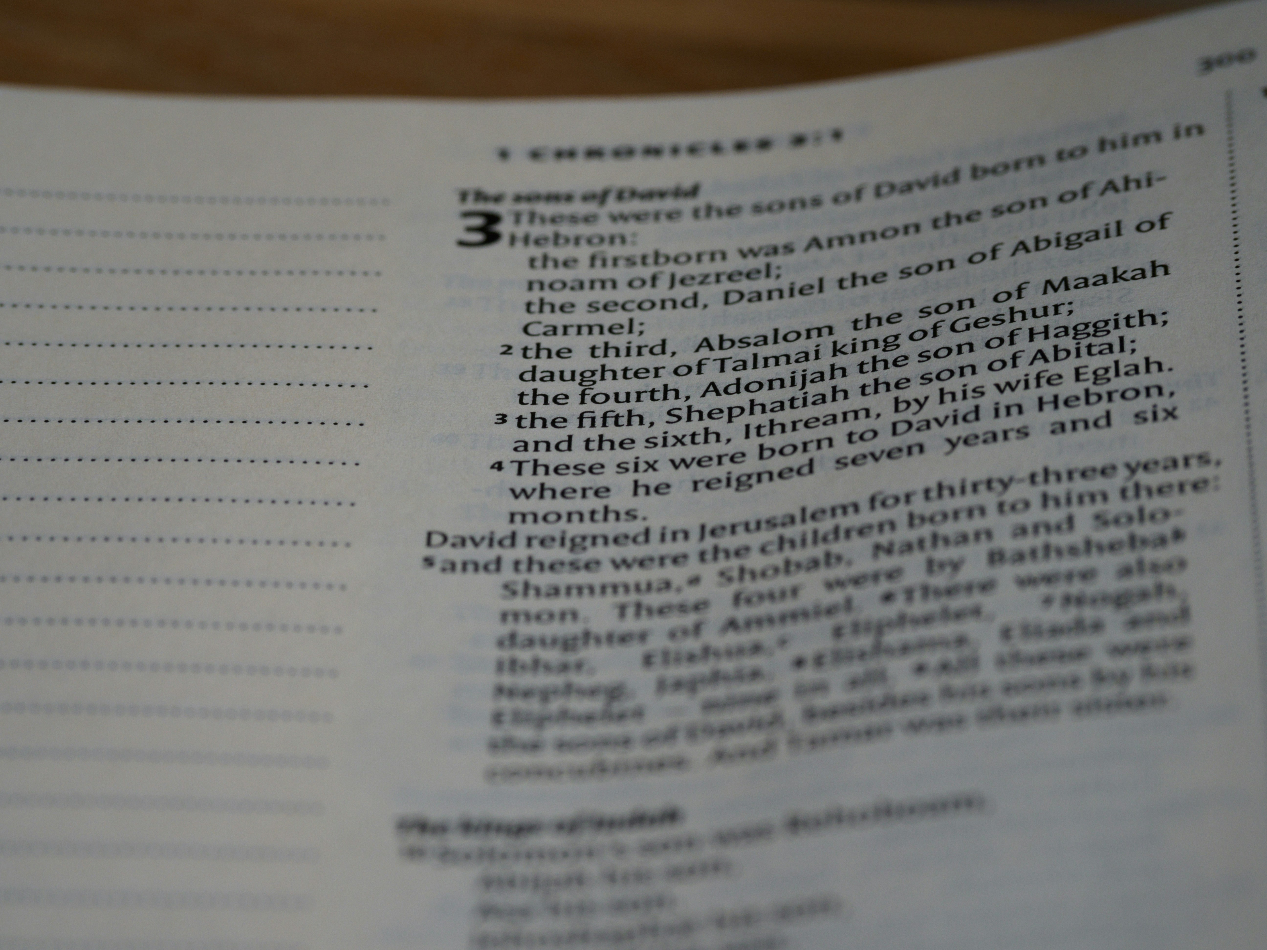 Photo by brett_jordan