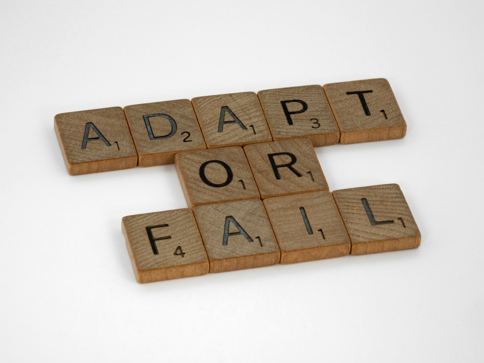 Why Adaptability is Crucial for Business Software