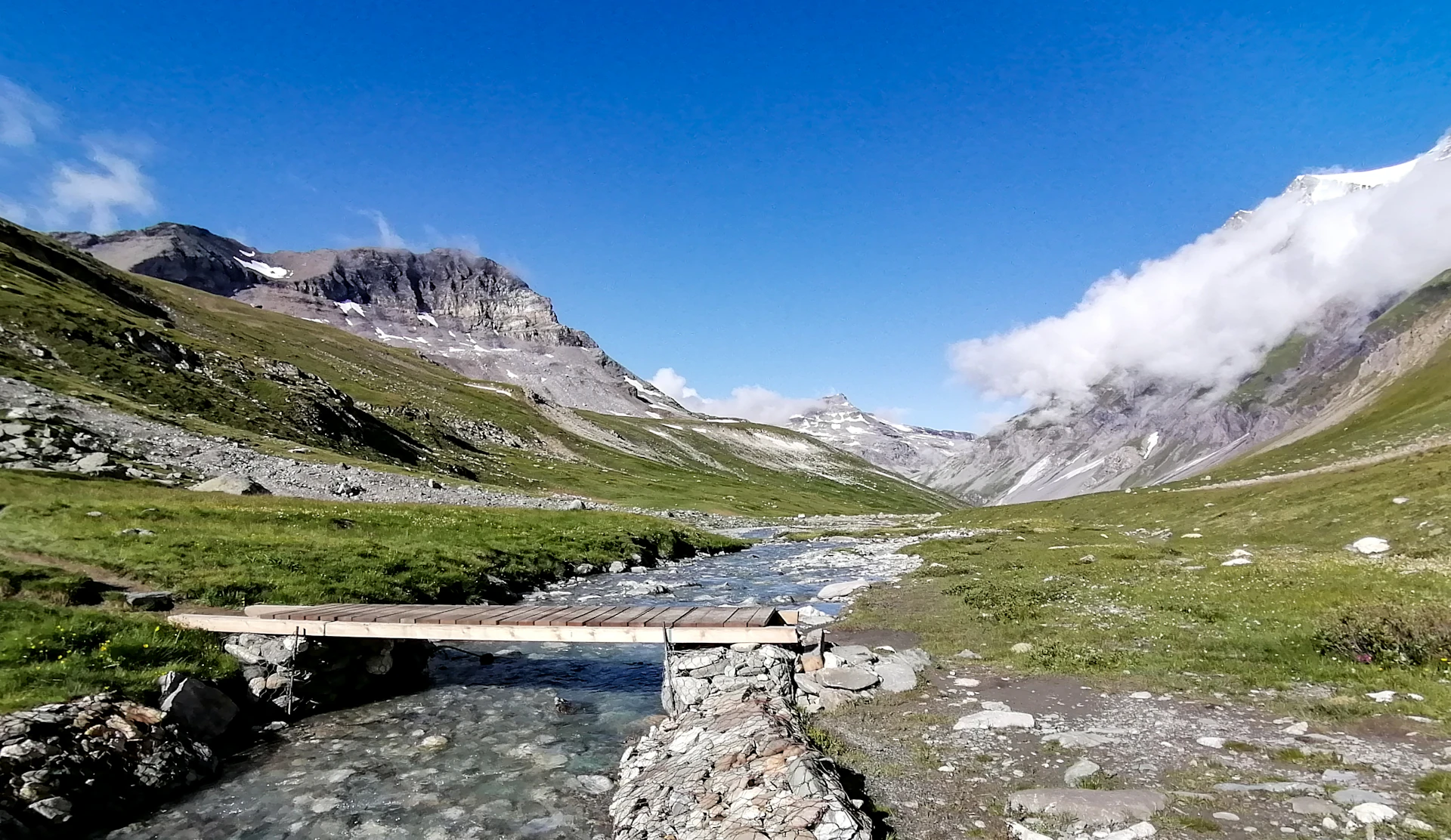 Montagnes vertes et grises