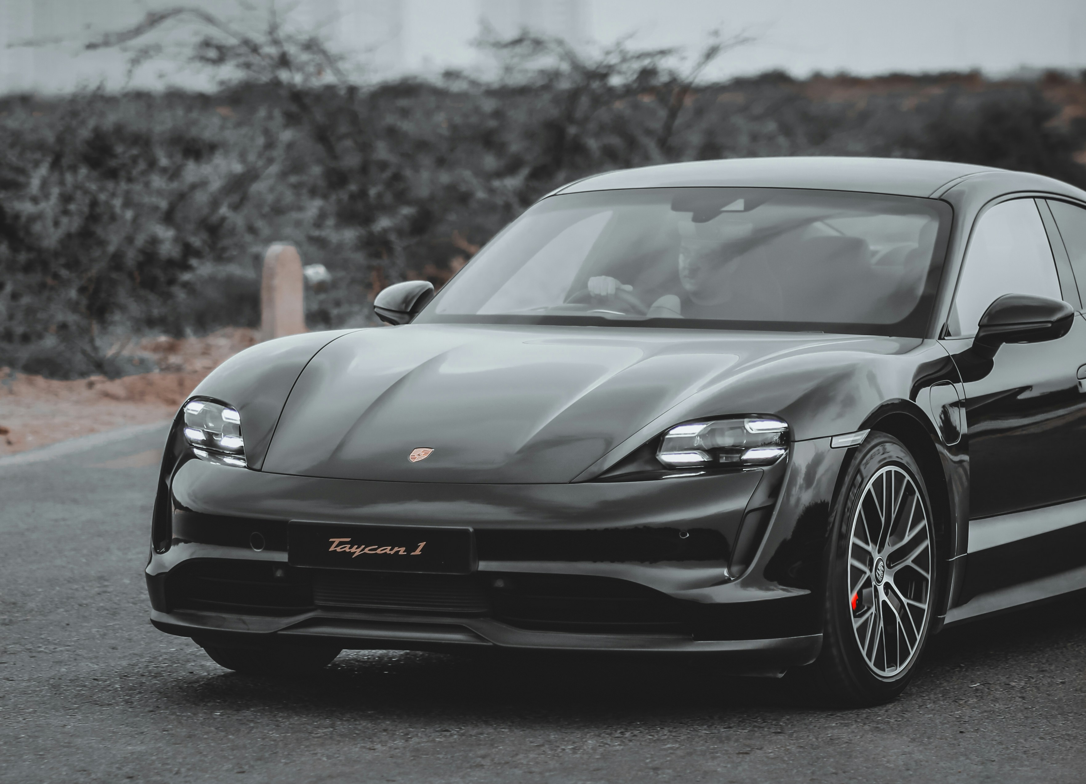 Photo by shahrukh_rehman1