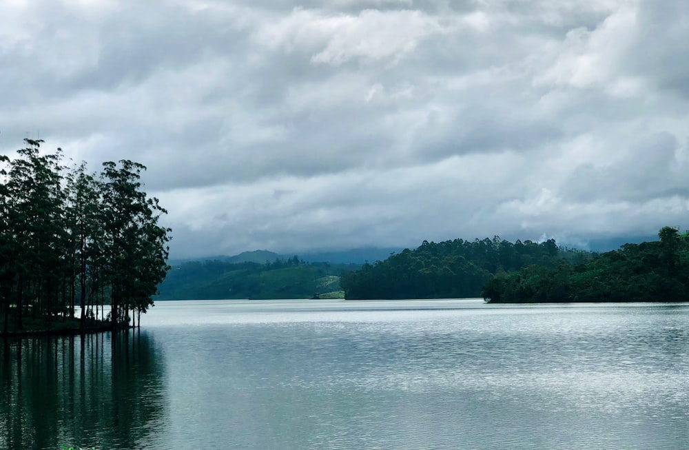 green trees beside body of water under cloudy sky during daytime