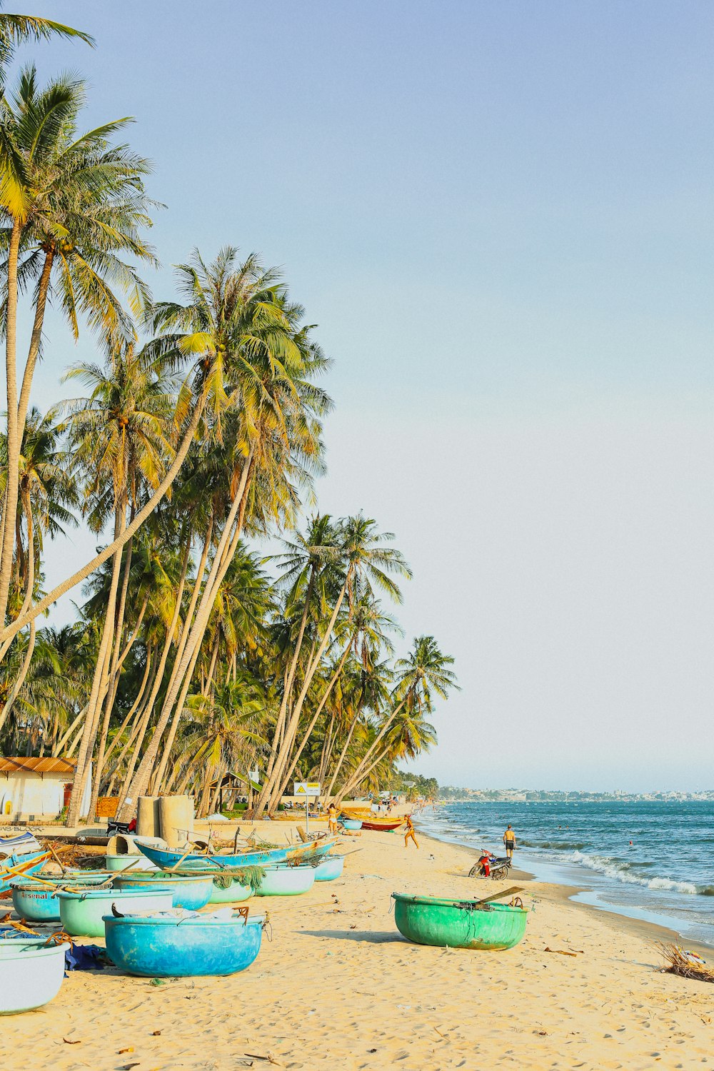 people on beach during daytime