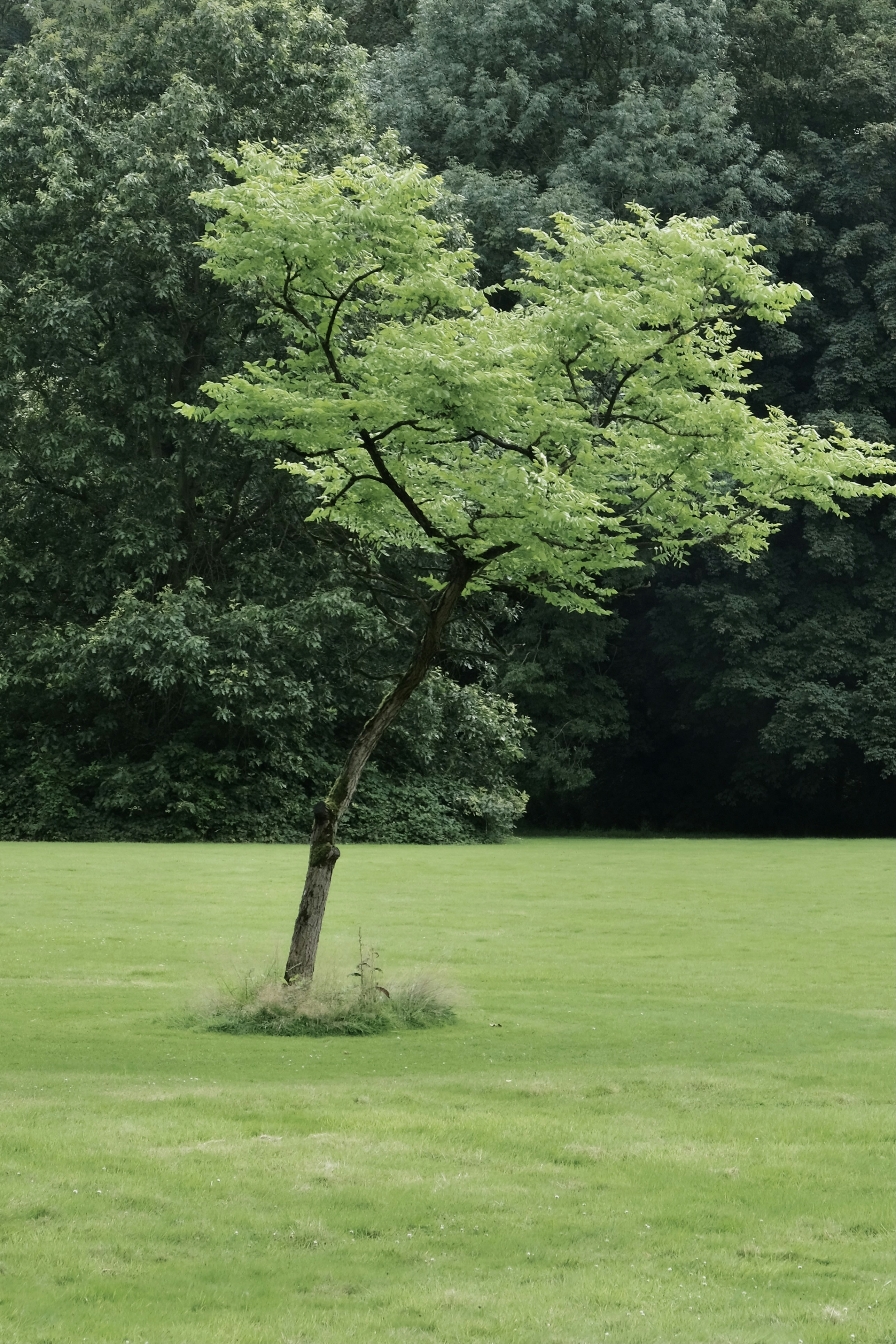 Photo by peter_heymans