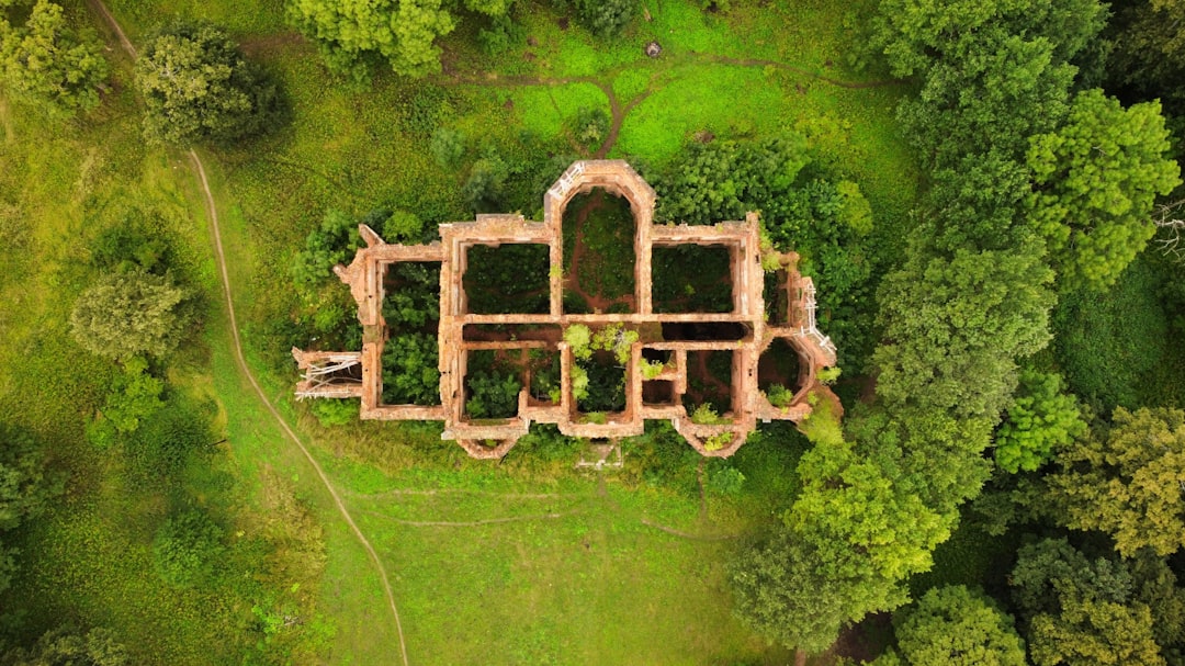 aerial view of green grass field