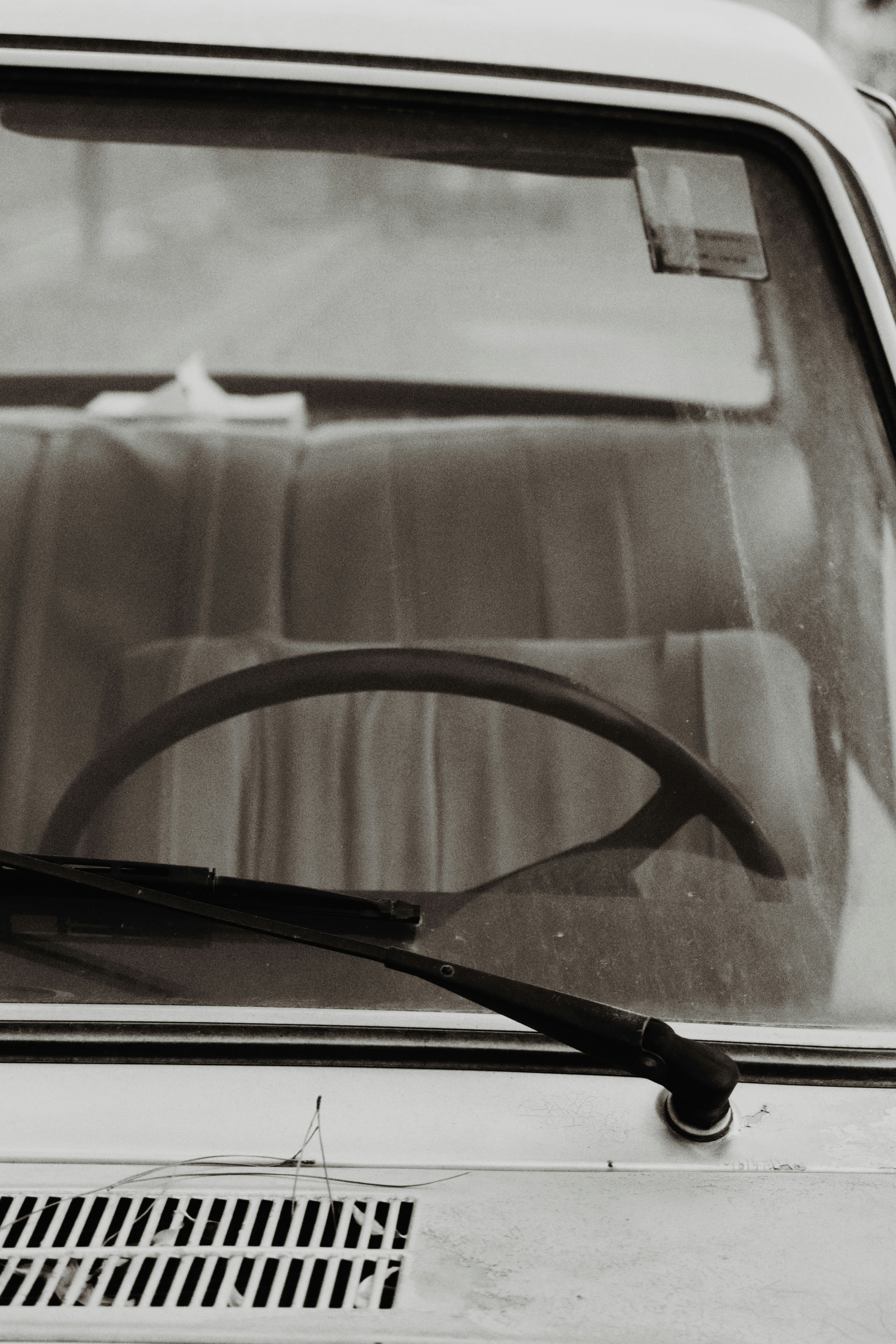 Photo by amirrnaseri