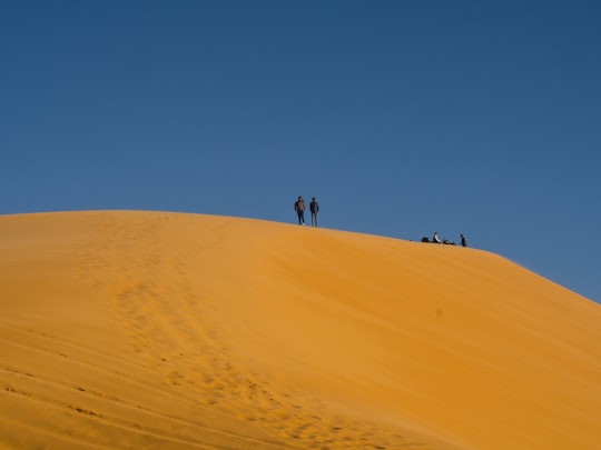 people walking on desert during daytime in Taghit Algeria
