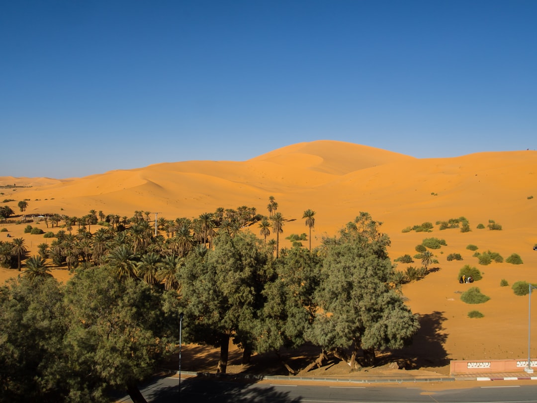 Natural landscape photo spot Taghit Algeria