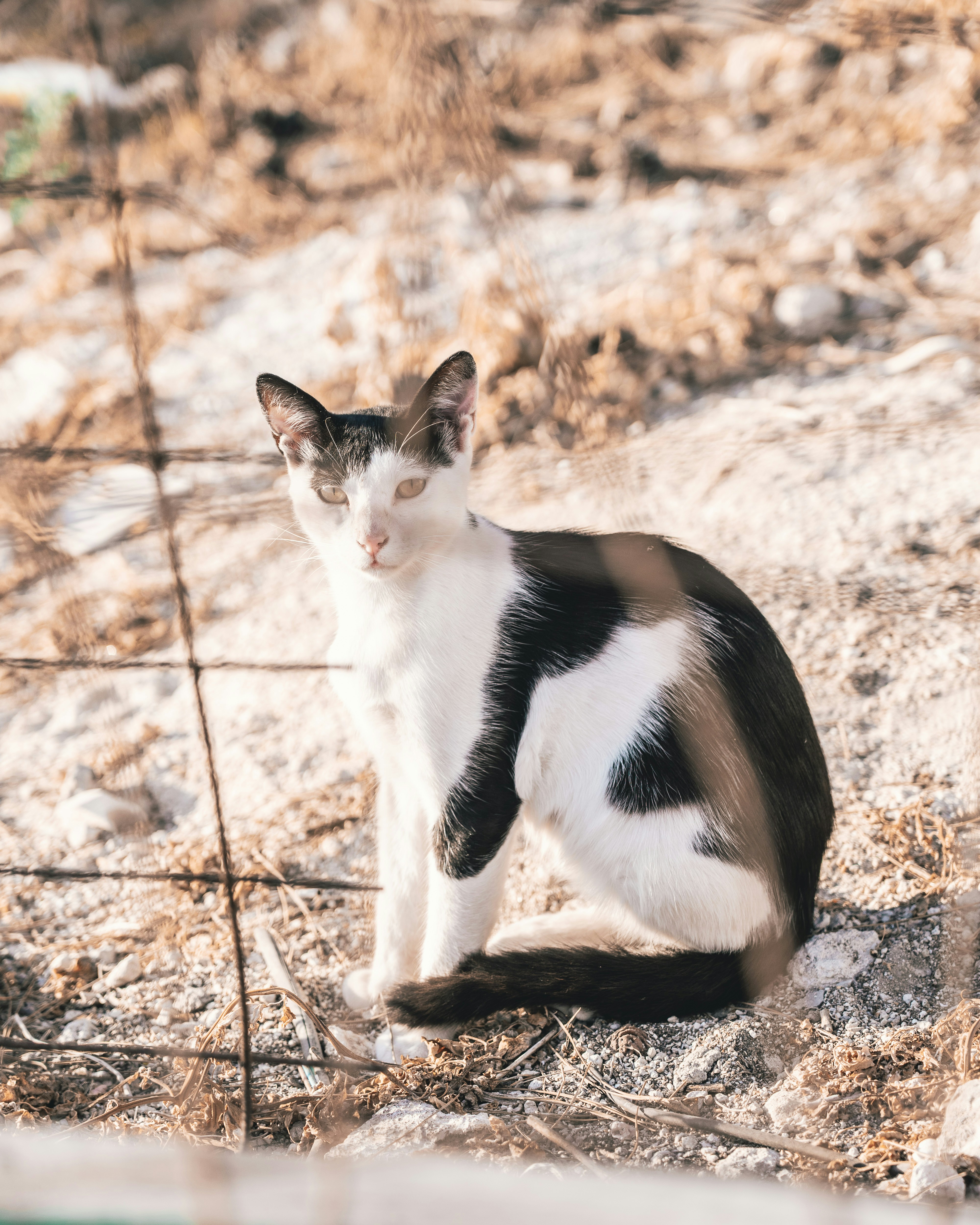 Photo by nejc_soklic