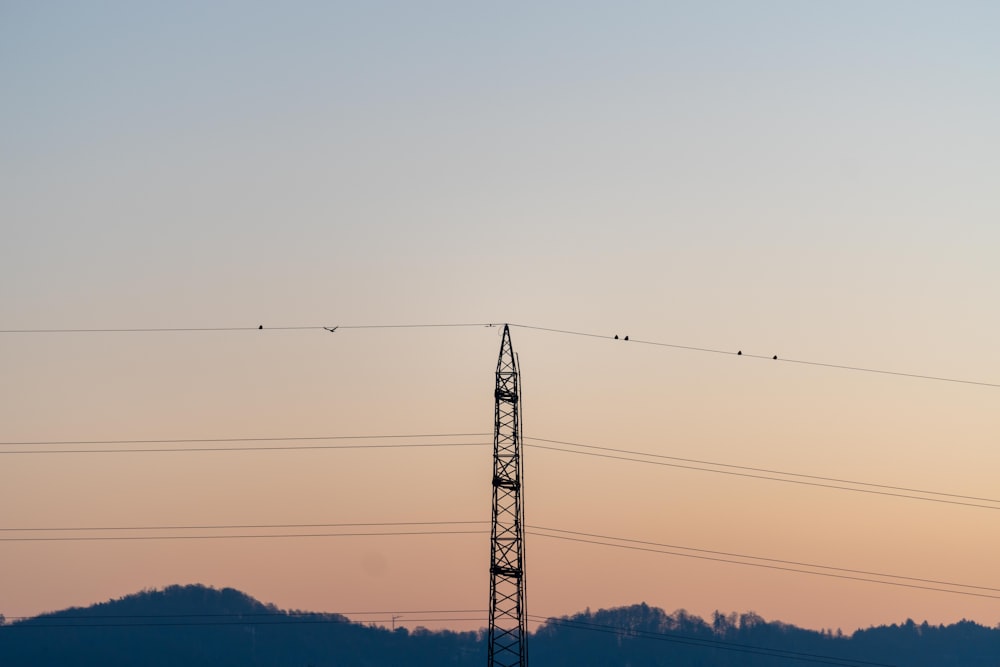 black electric post under white sky during daytime