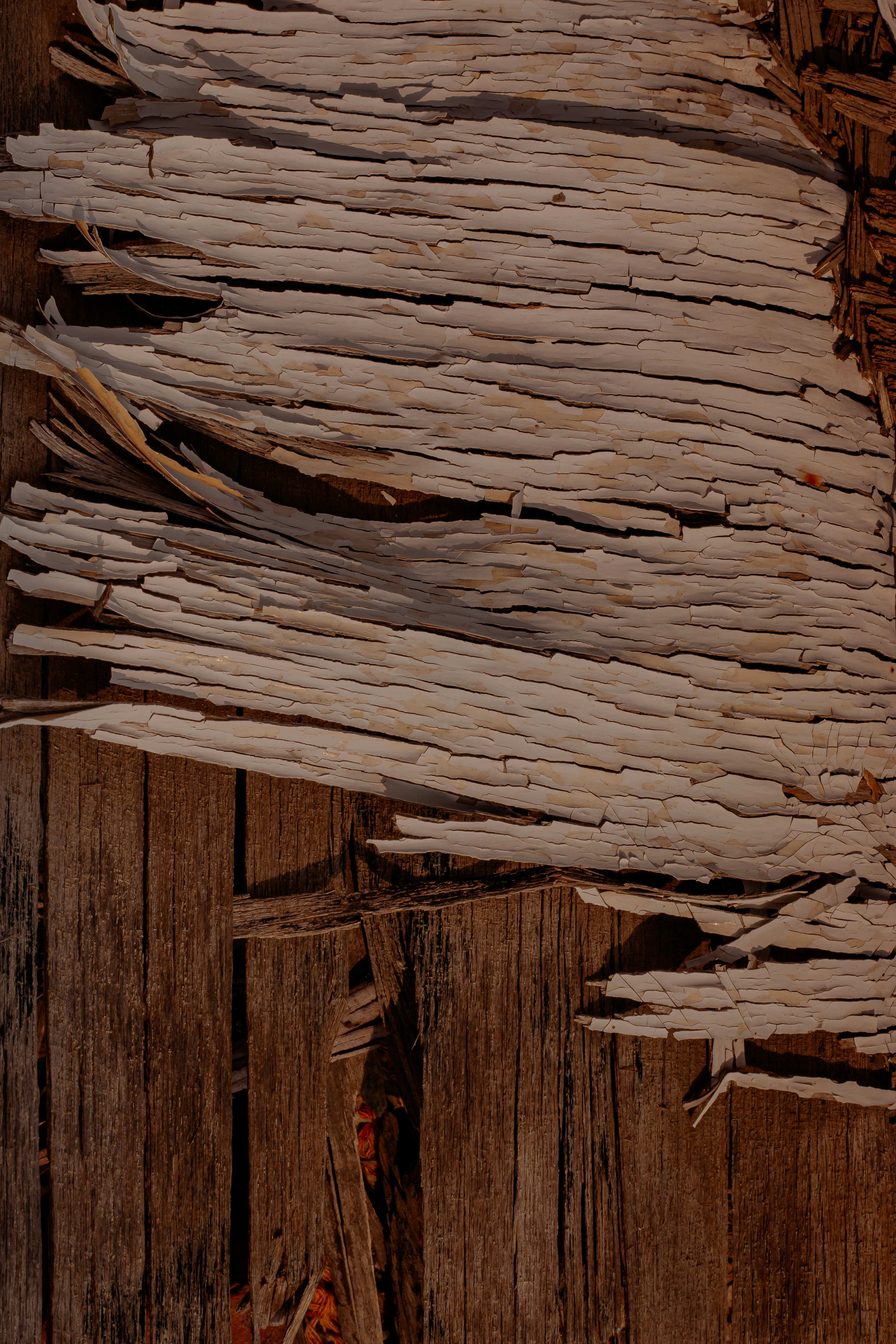 Photo by dylanhendricks