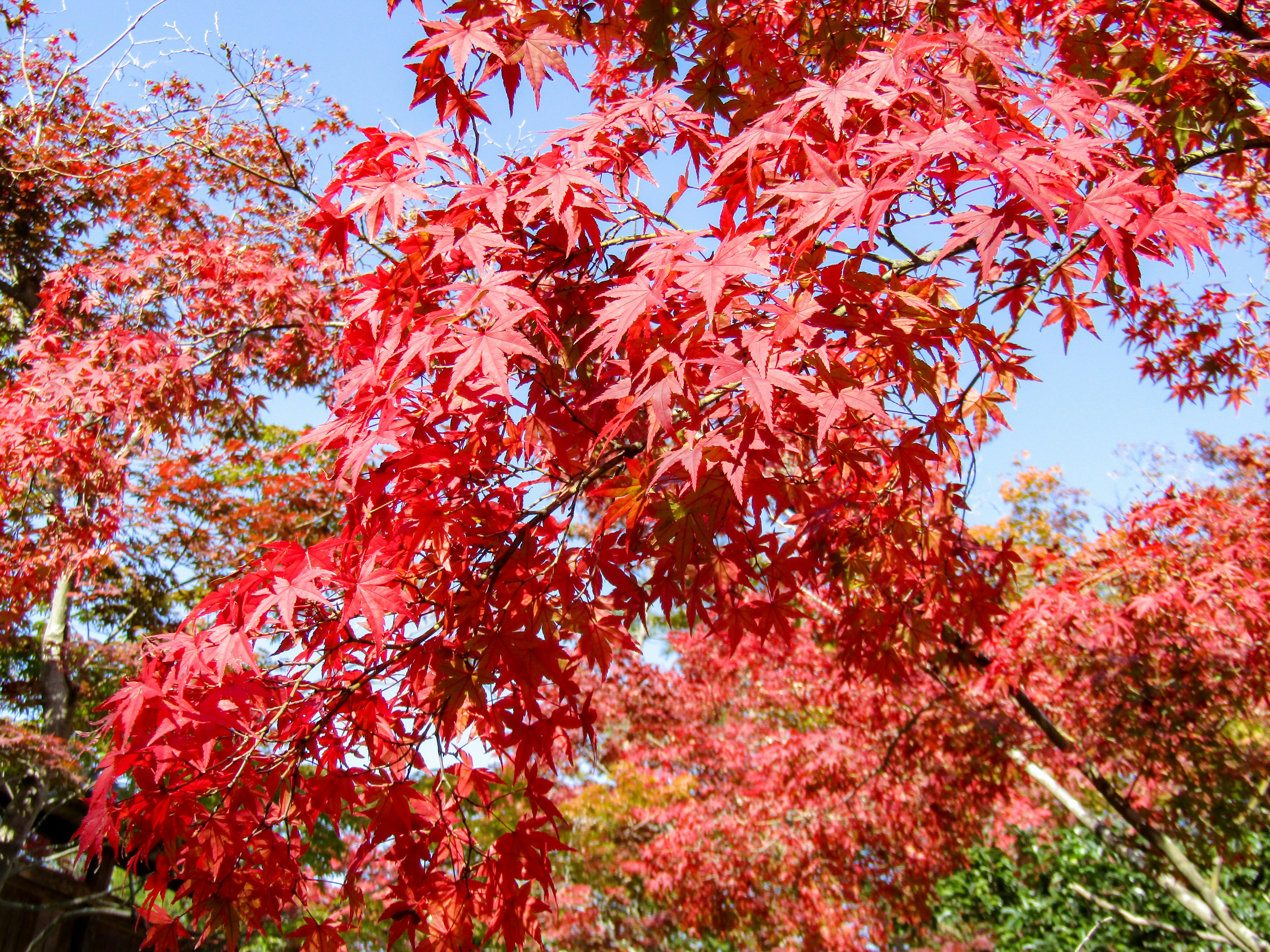 Photo by heppoko_yama