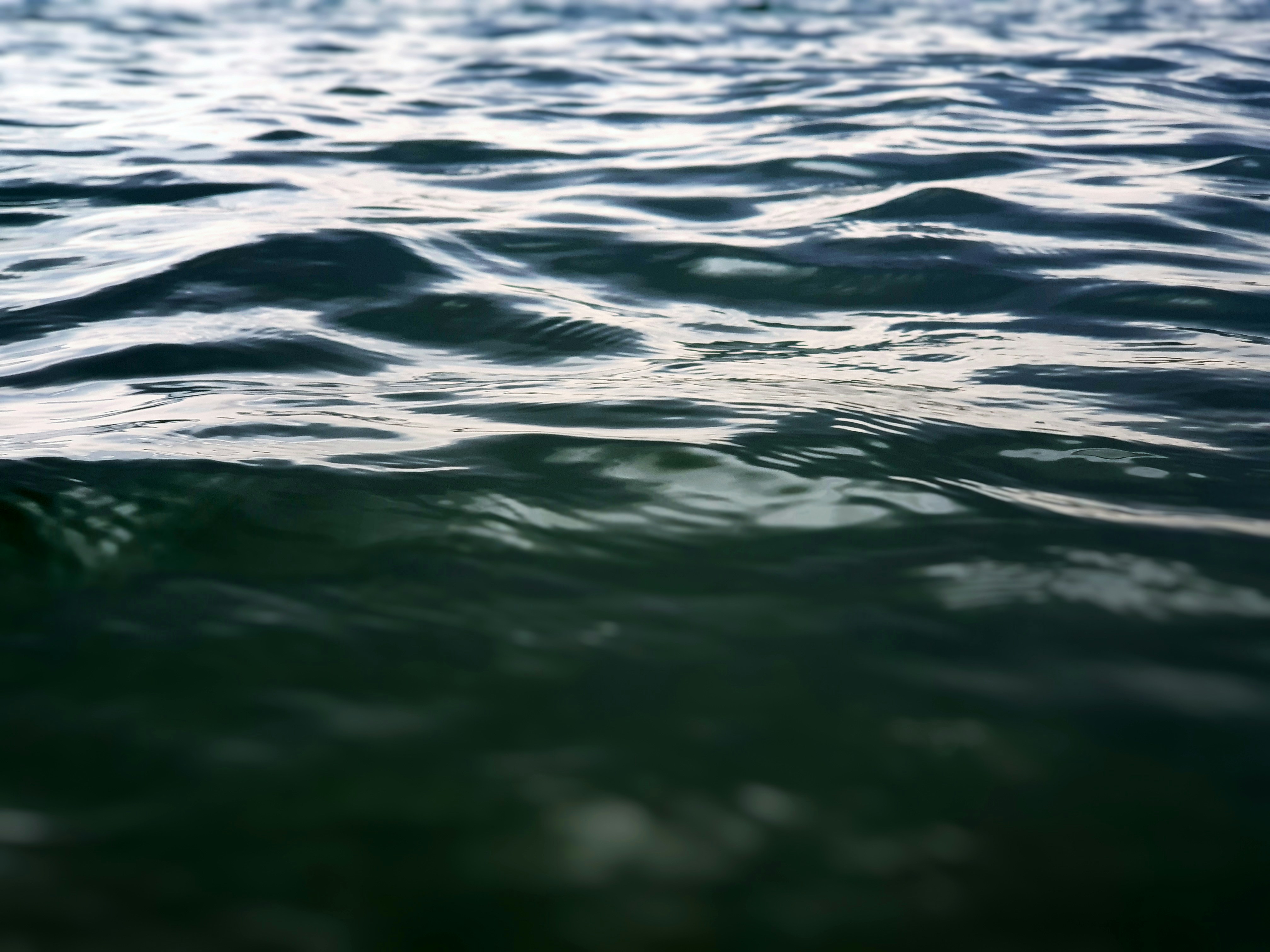 Photo by gabrielepmattia