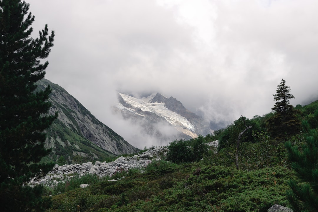 green grass field near snow covered mountain during daytime