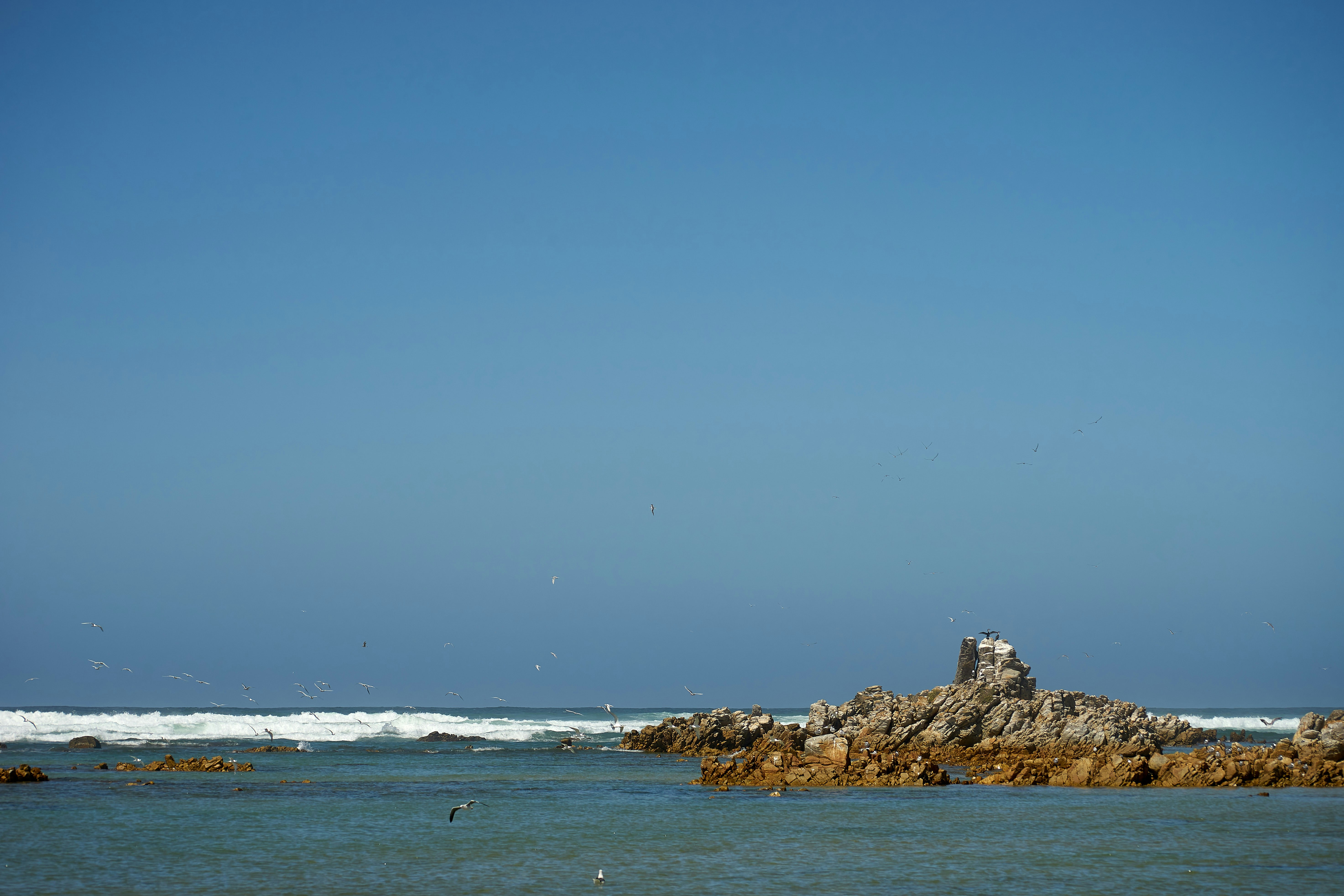 Photo by wolfgang_hasselmann