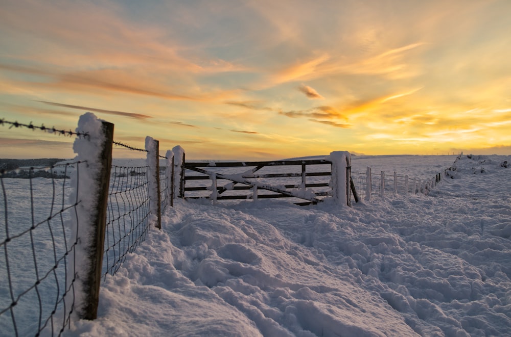 brown wooden fence on snow covered ground during daytime