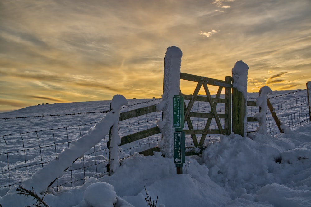 cerca de metal verde coberta com neve durante o dia