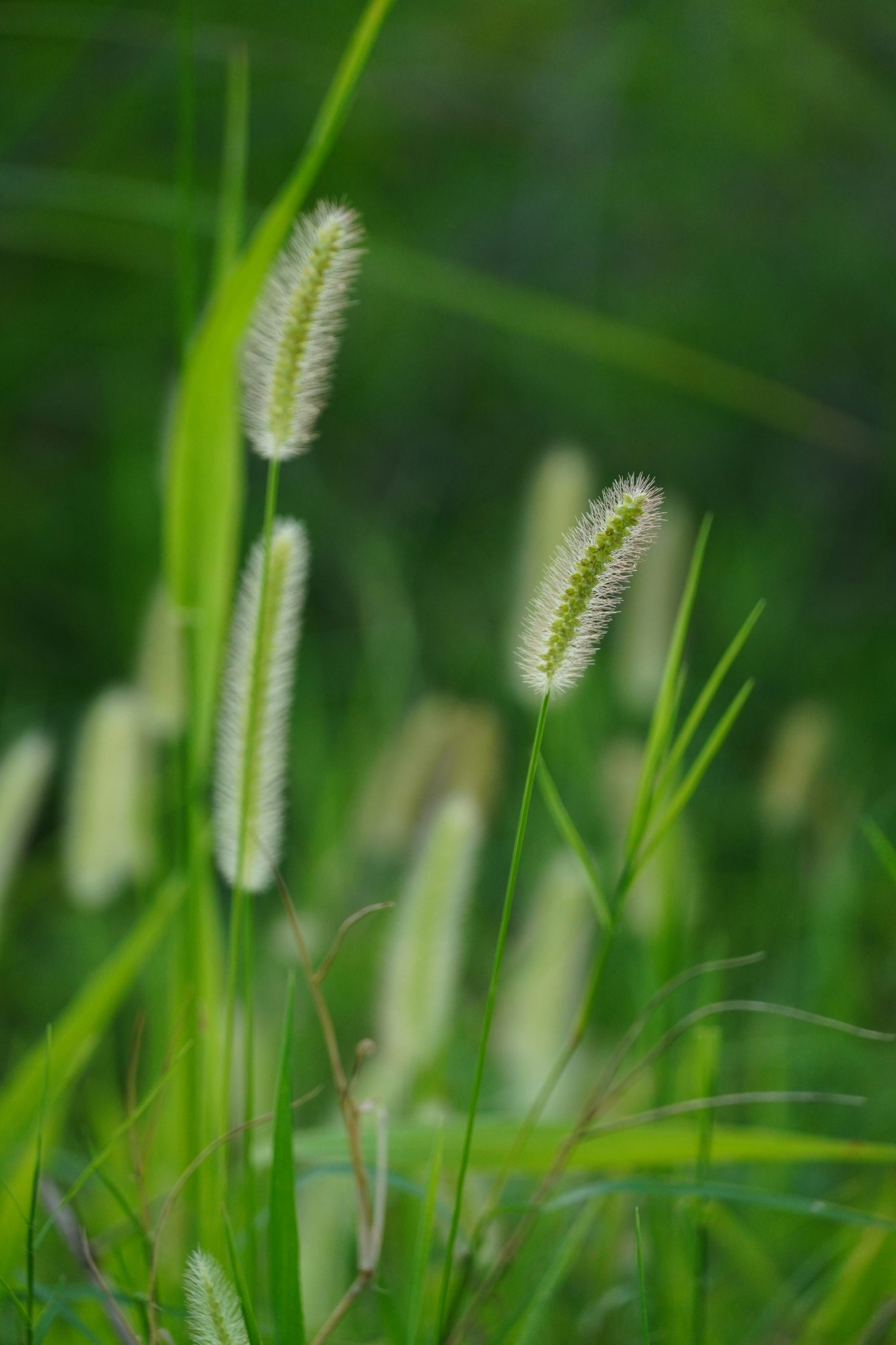 Photo by mr_karangia