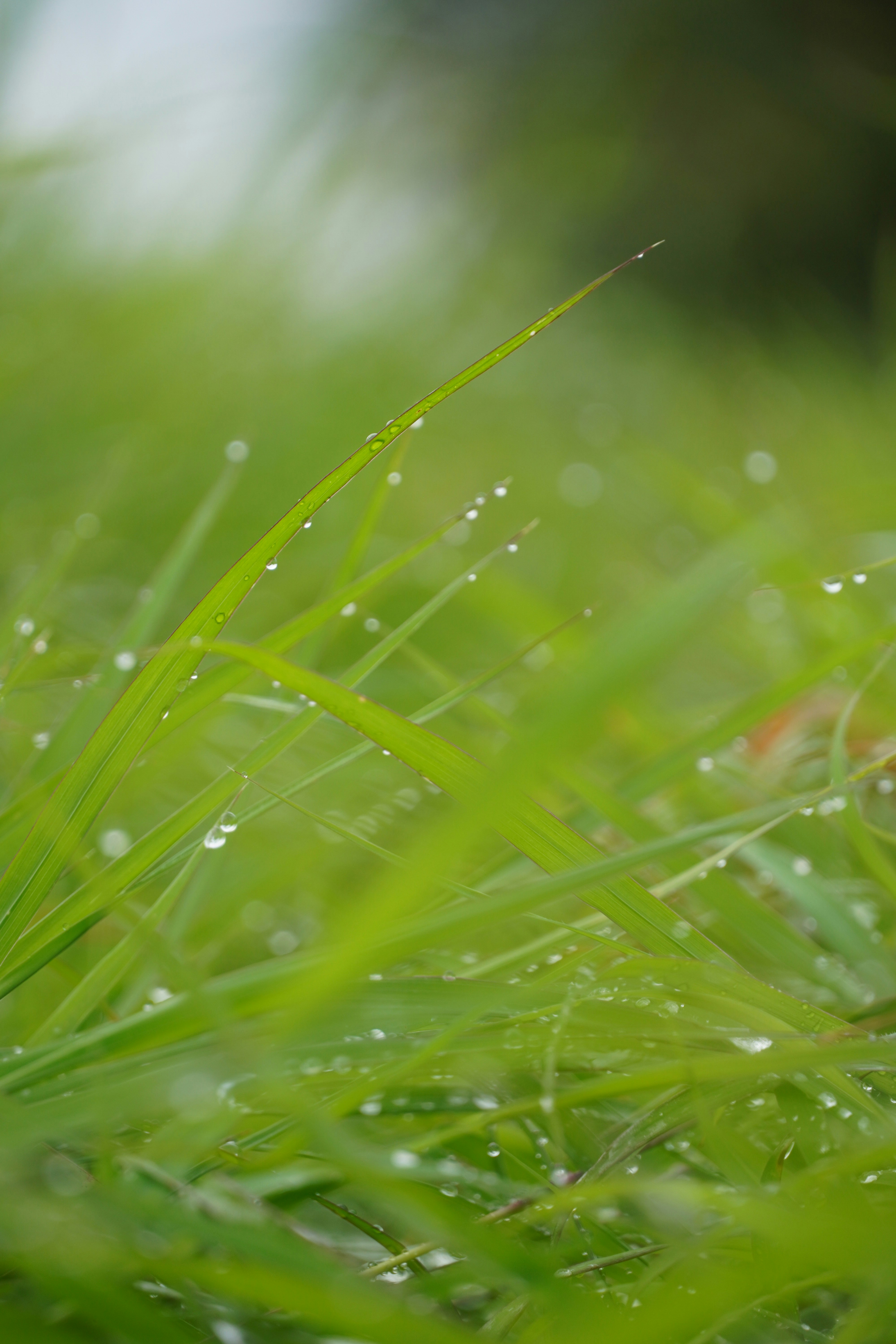 Photo by mr_karangia