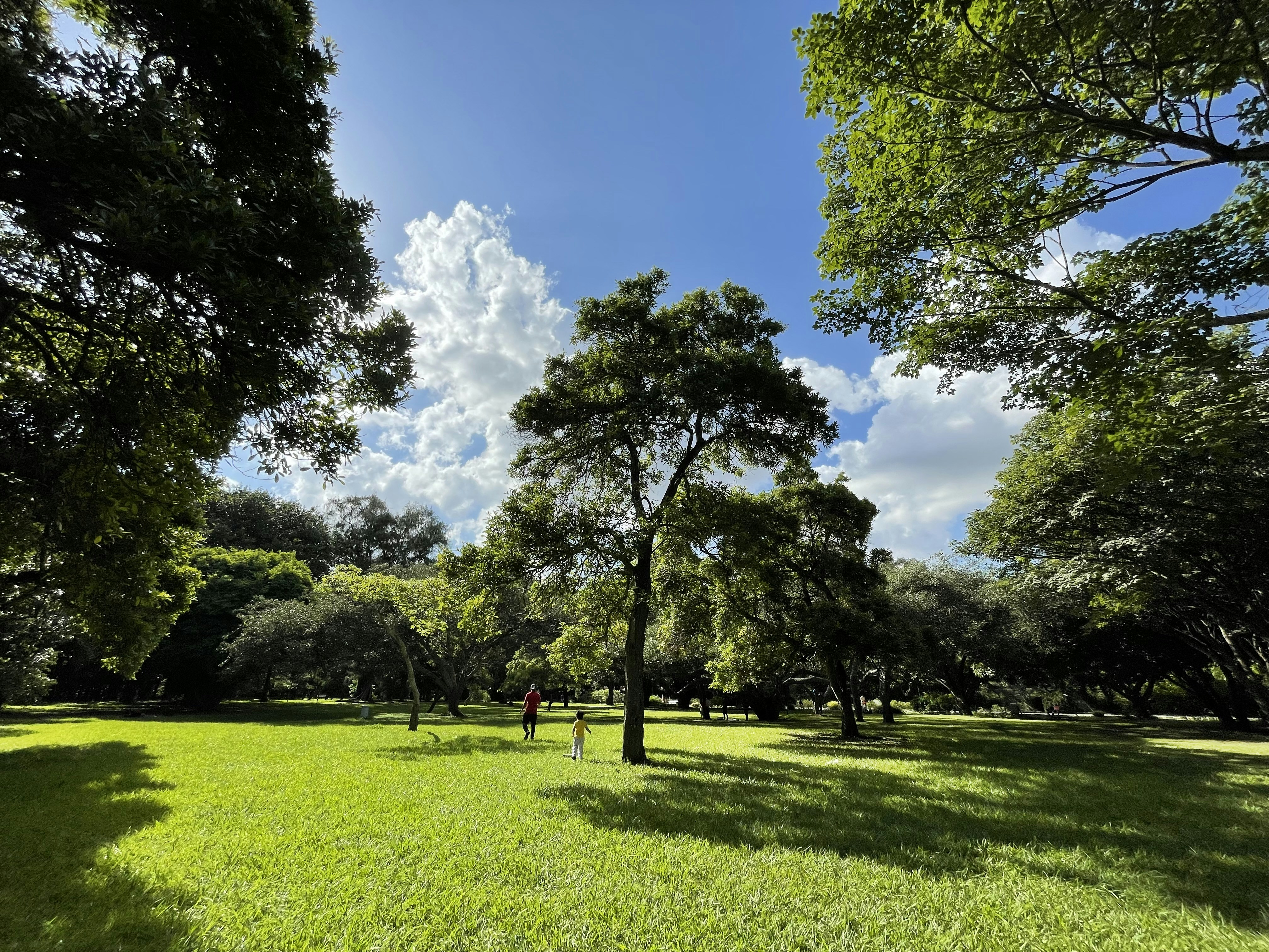 Photo by surabhisphotography