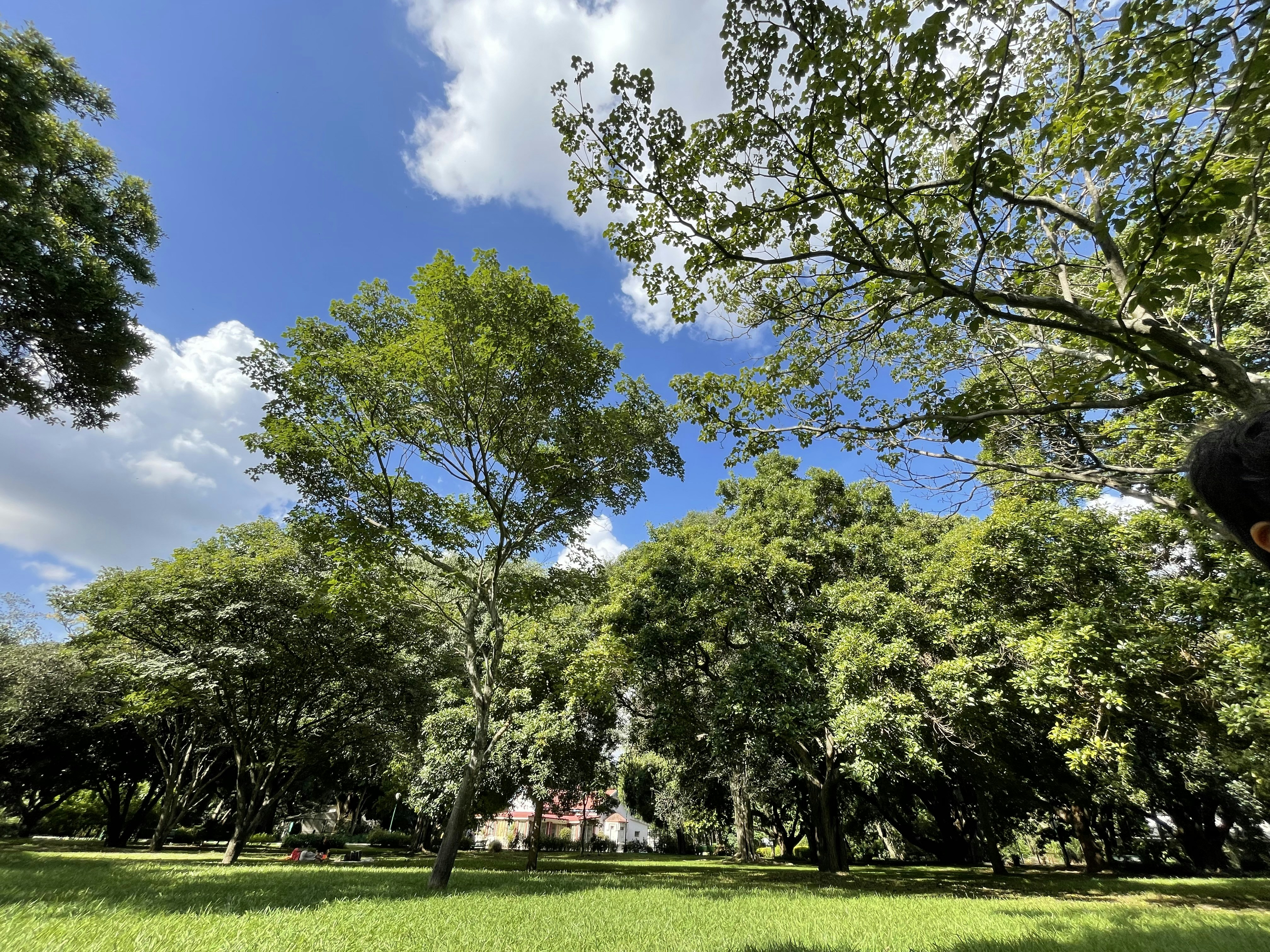 Photo by surabhisphotography