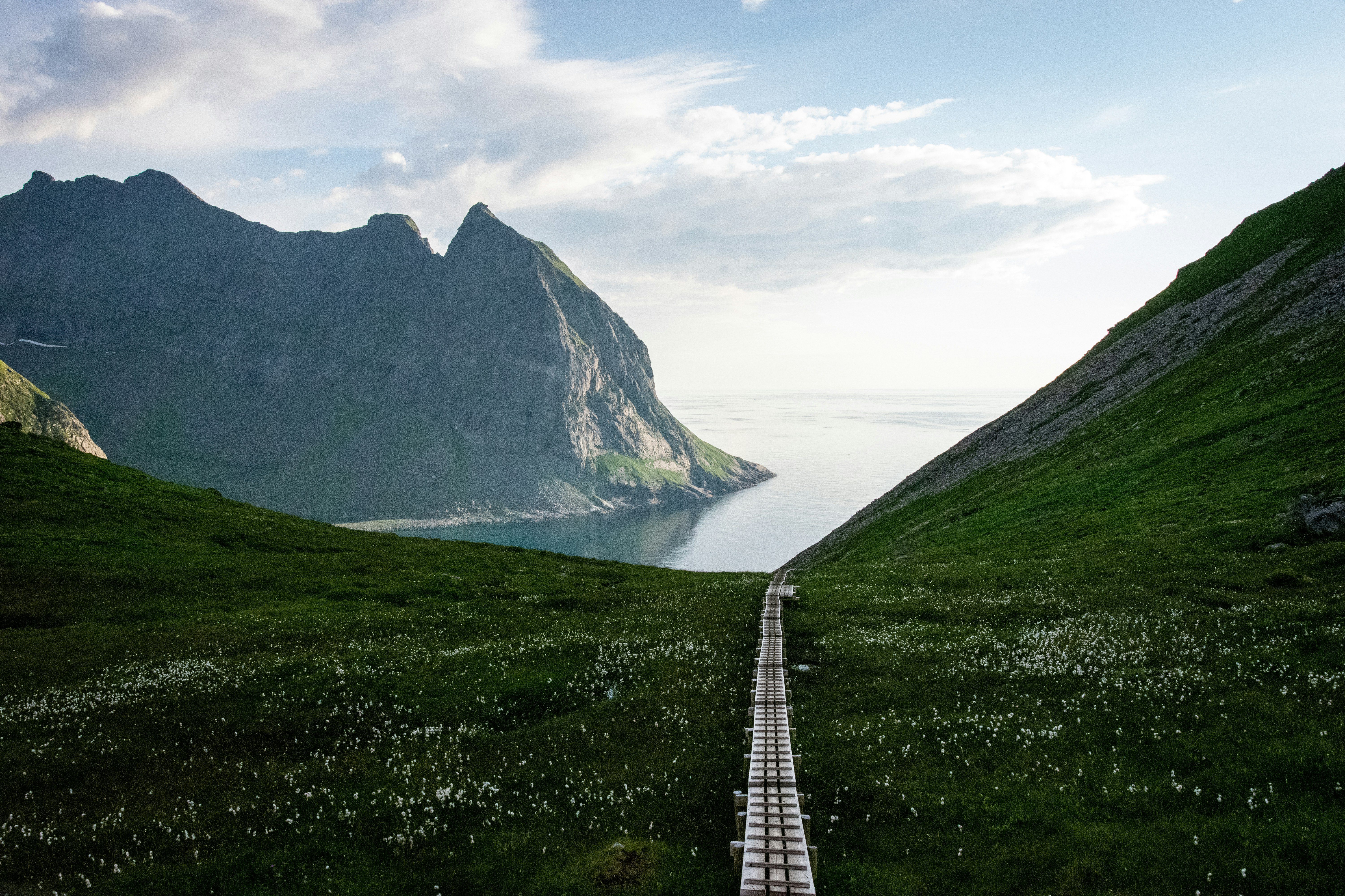 green grass field near mountain under white clouds during daytime, More photos and videos about our road trip on lofoten islands: https://mundm.ga/die-lofoten-norwegen/