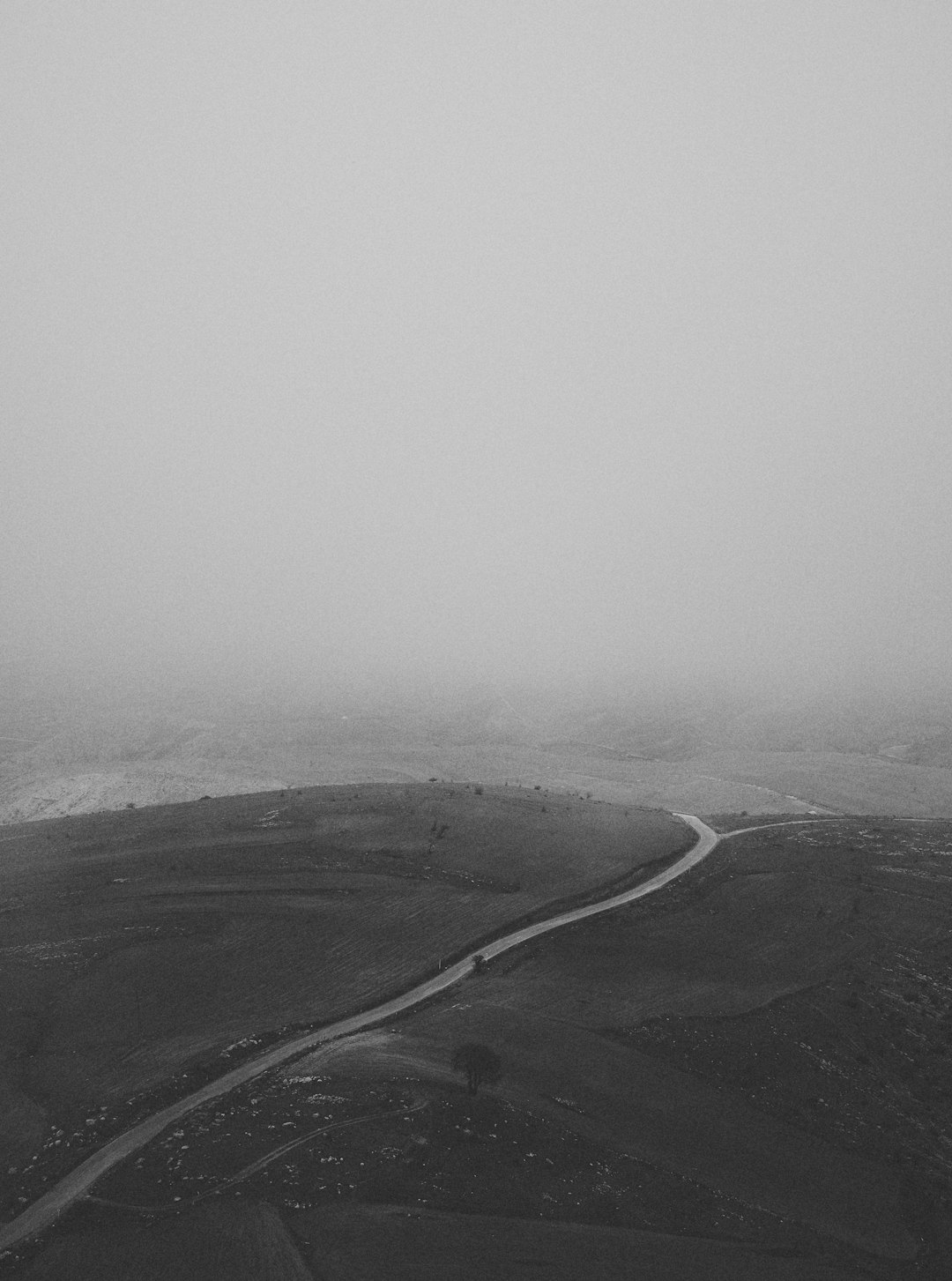 grayscale photo of road in the middle of the field