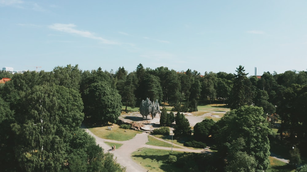 arbres verts et champ d’herbe verte pendant la journée