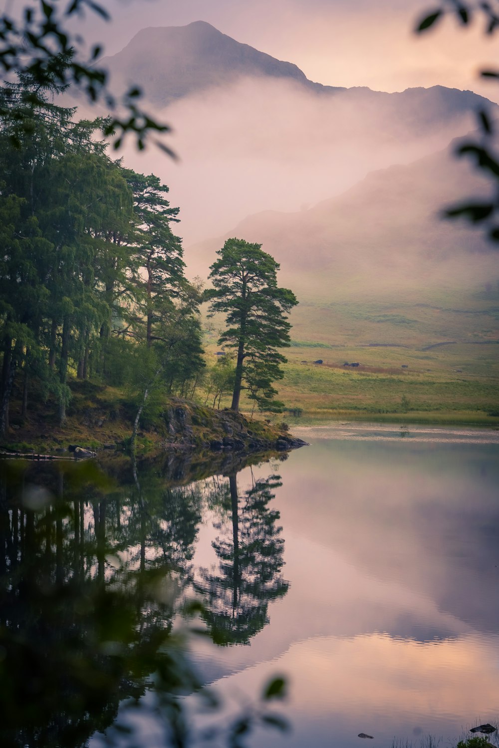 green trees beside river under cloudy sky during daytime