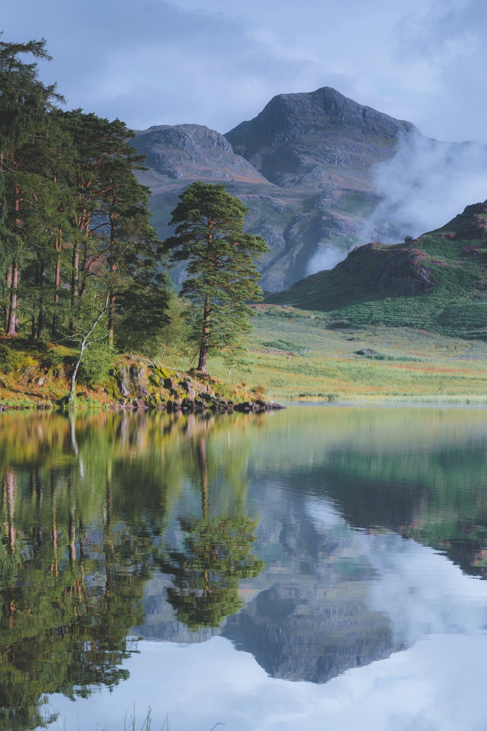 green trees near lake during daytime