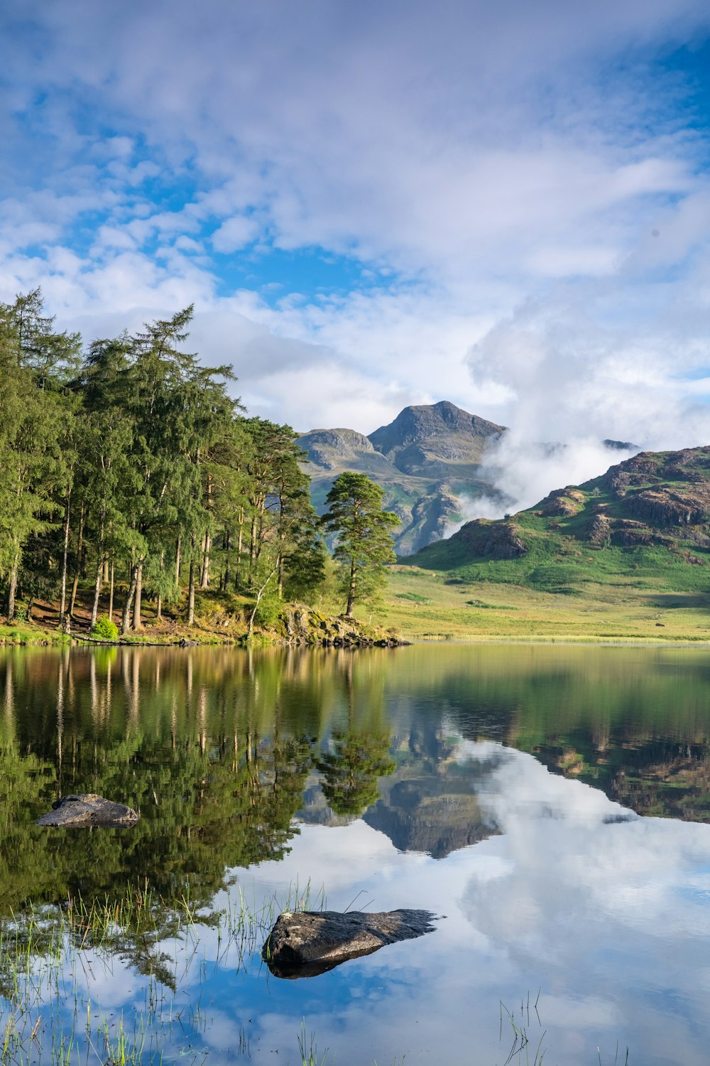 green trees near lake under white clouds and blue sky during daytime