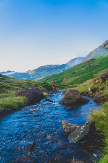 person in red shirt standing on green grass field near body of water during daytime