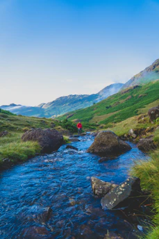 person in red shirt standing on green grass field near body of water during daytime