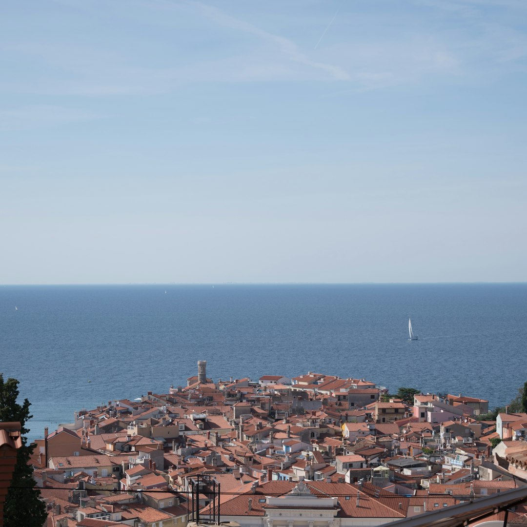 aerial view of city buildings near sea during daytime