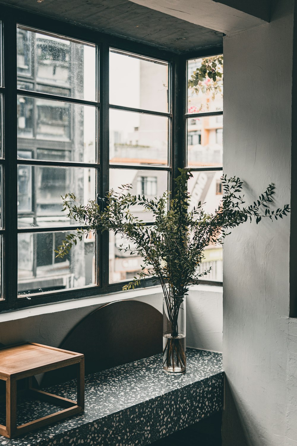 green plant on brown wooden table