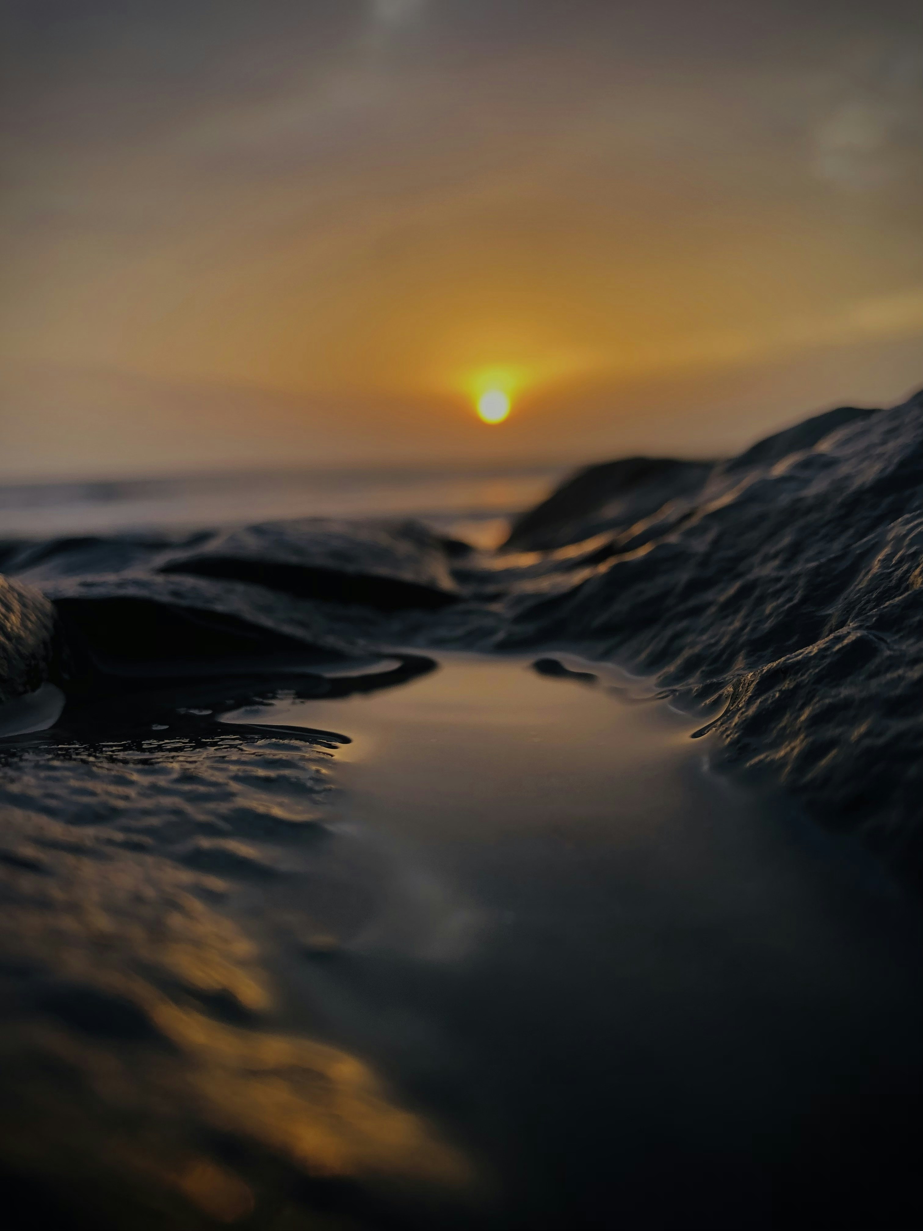 Photo by pixel_guy97