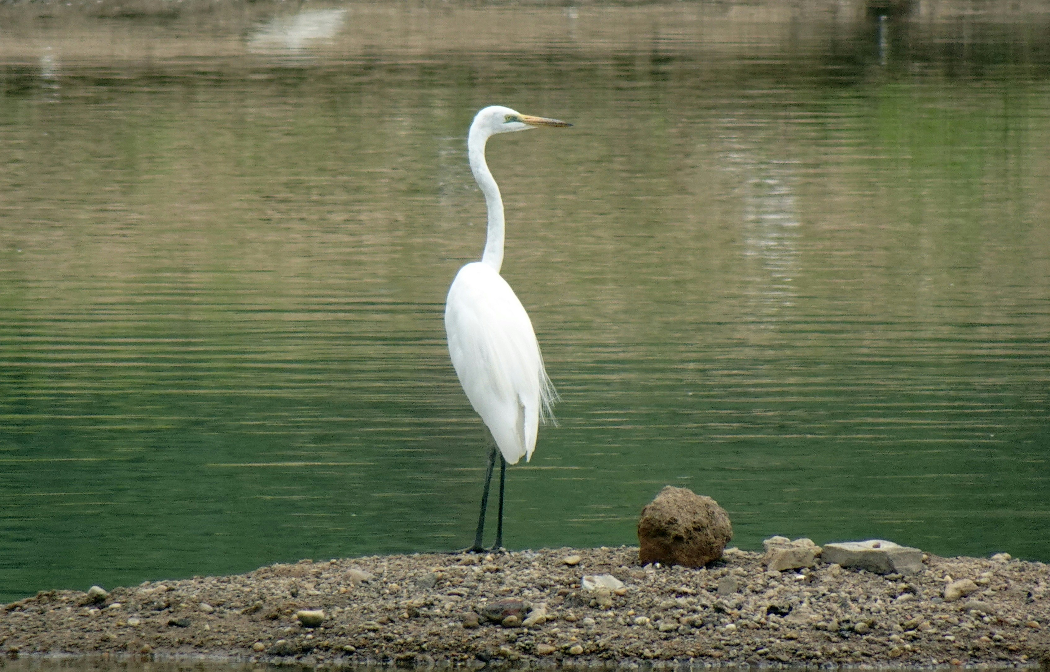 Photo by sarangib