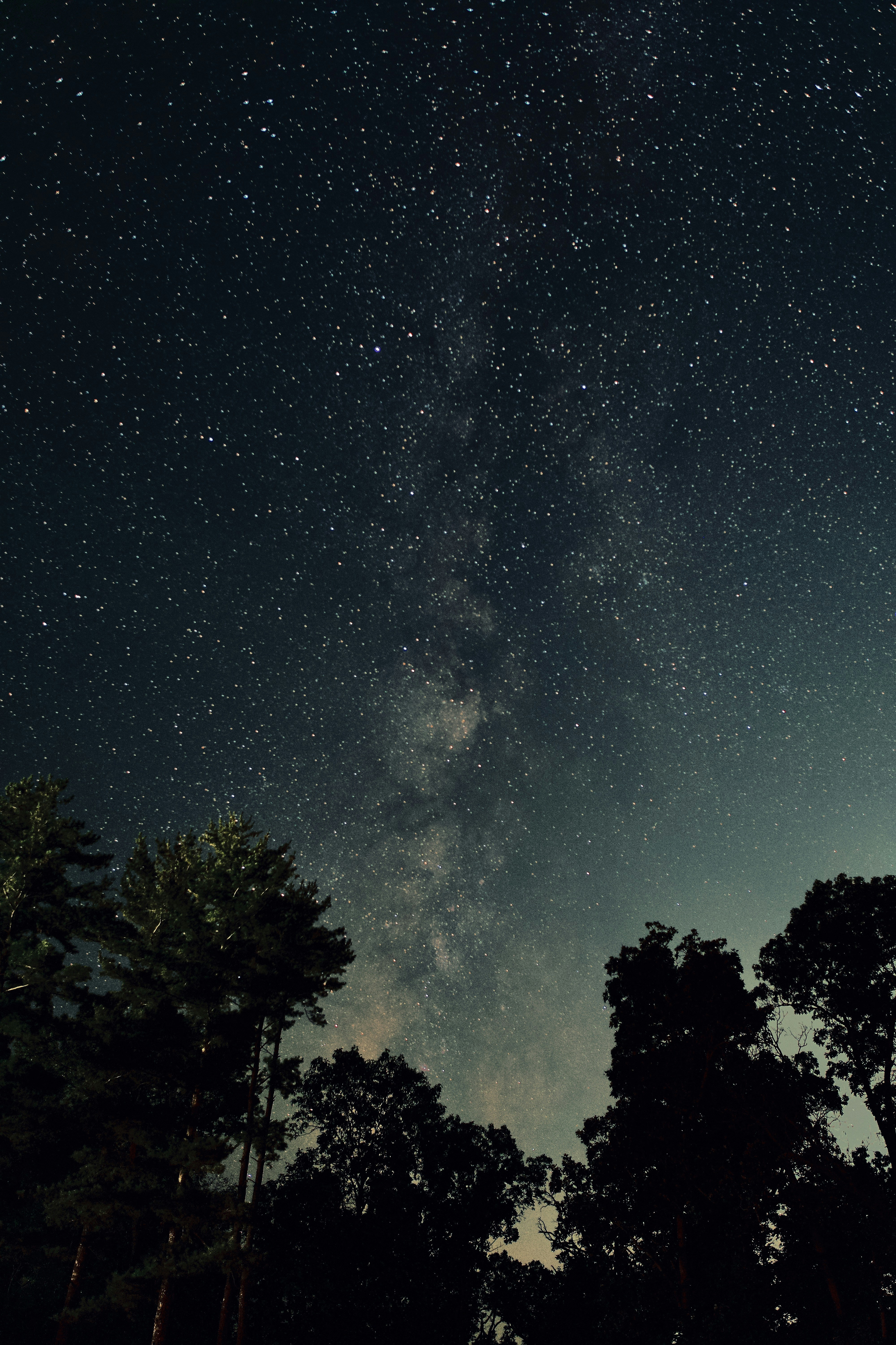 Photo by sid_suratia