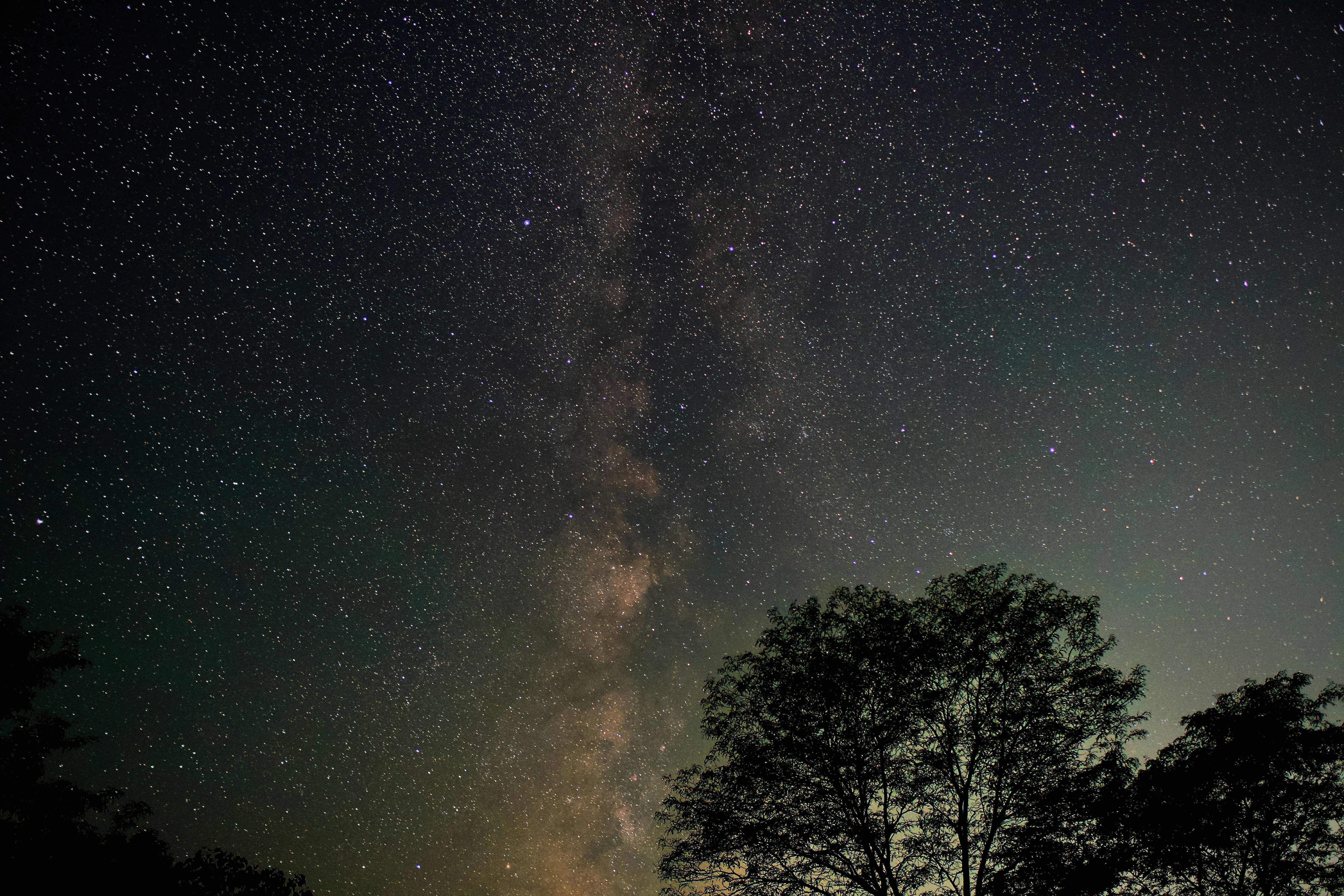 Photo by sid_suratia