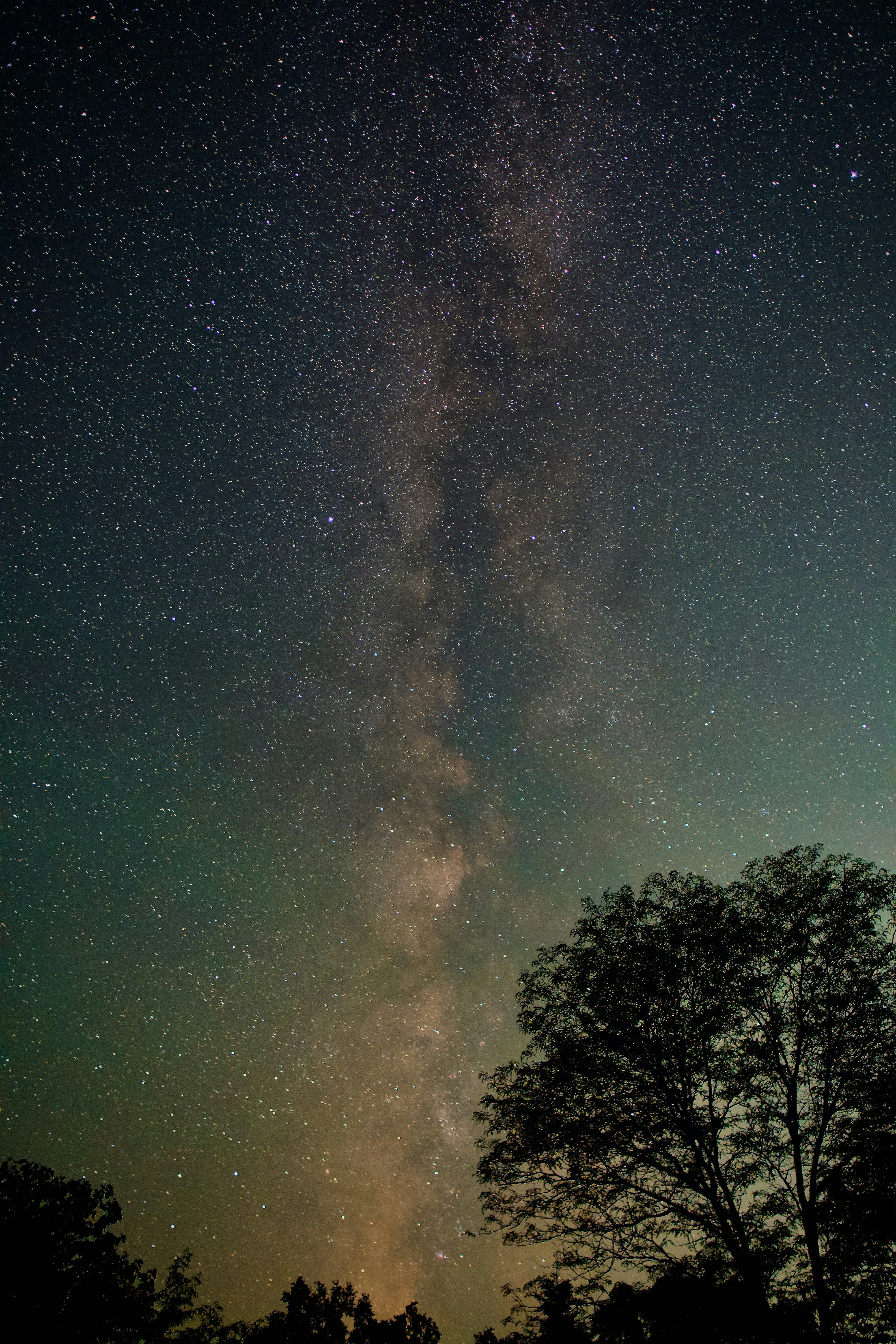 Photo by sid_suratia